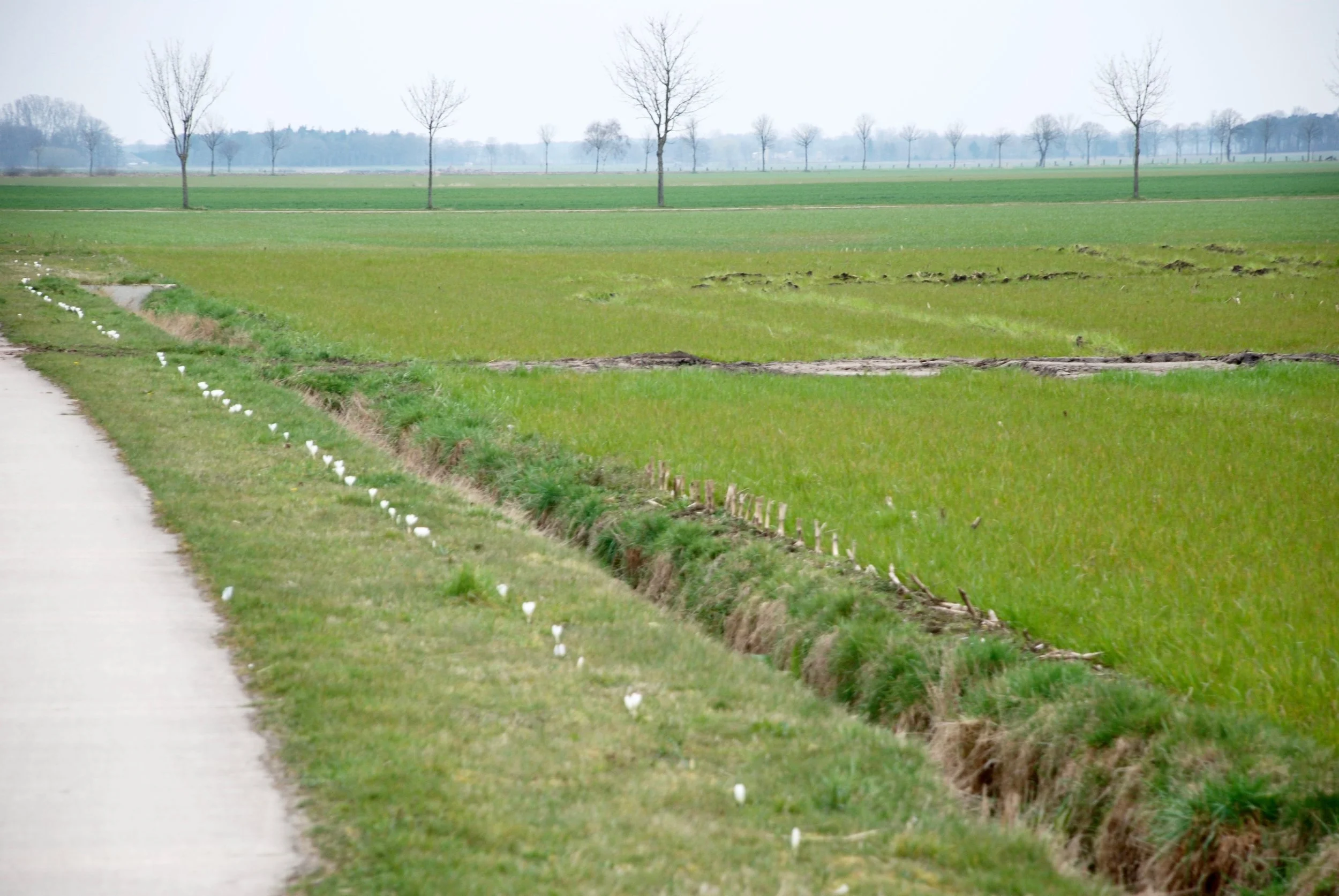 hoofdbaan watering.jpg