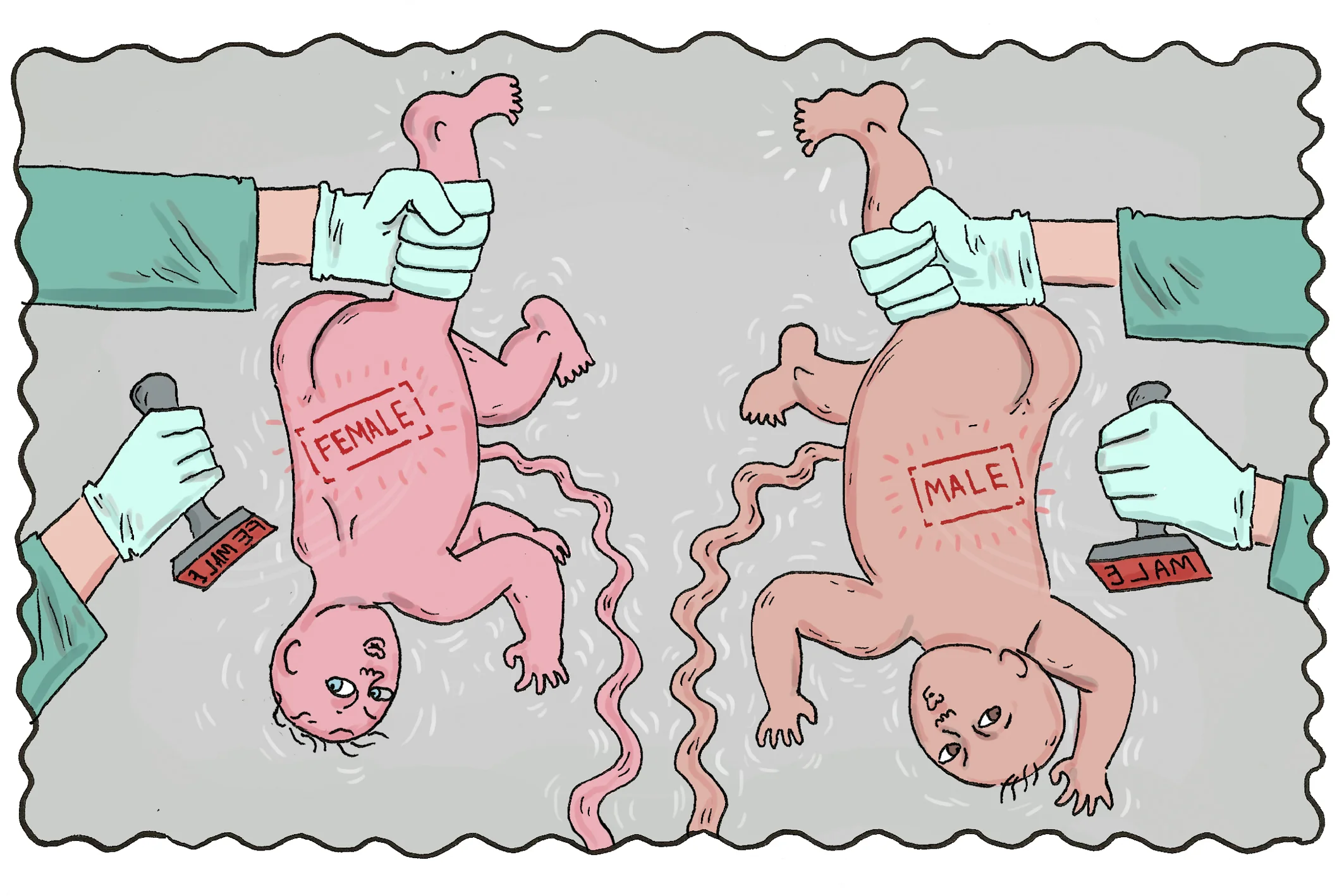 Medium Illustrations_Terms to Know_AFAB AMAB_1.jpg
