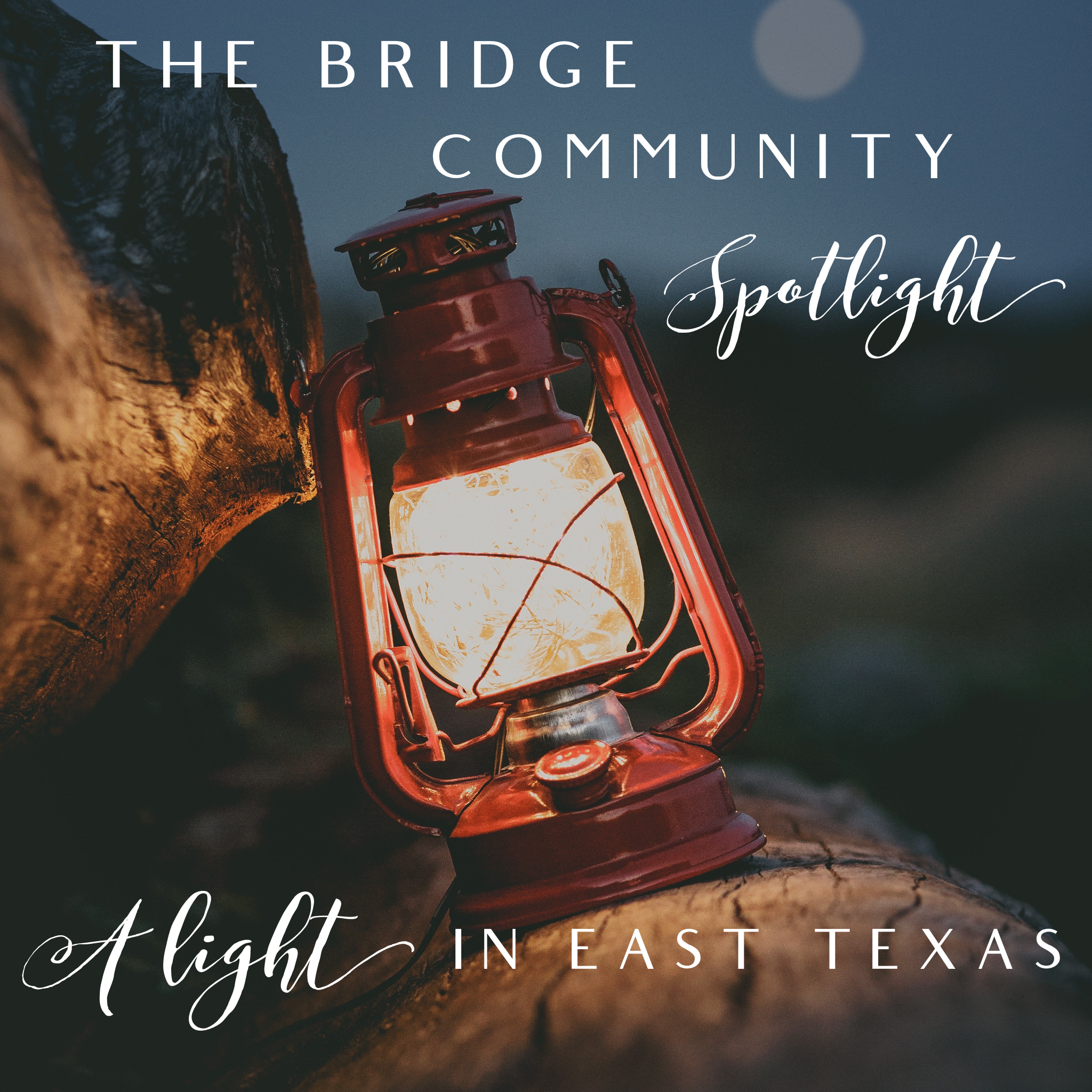 The Bridge Community Spotlight featuring Beth Reed with Sight.org