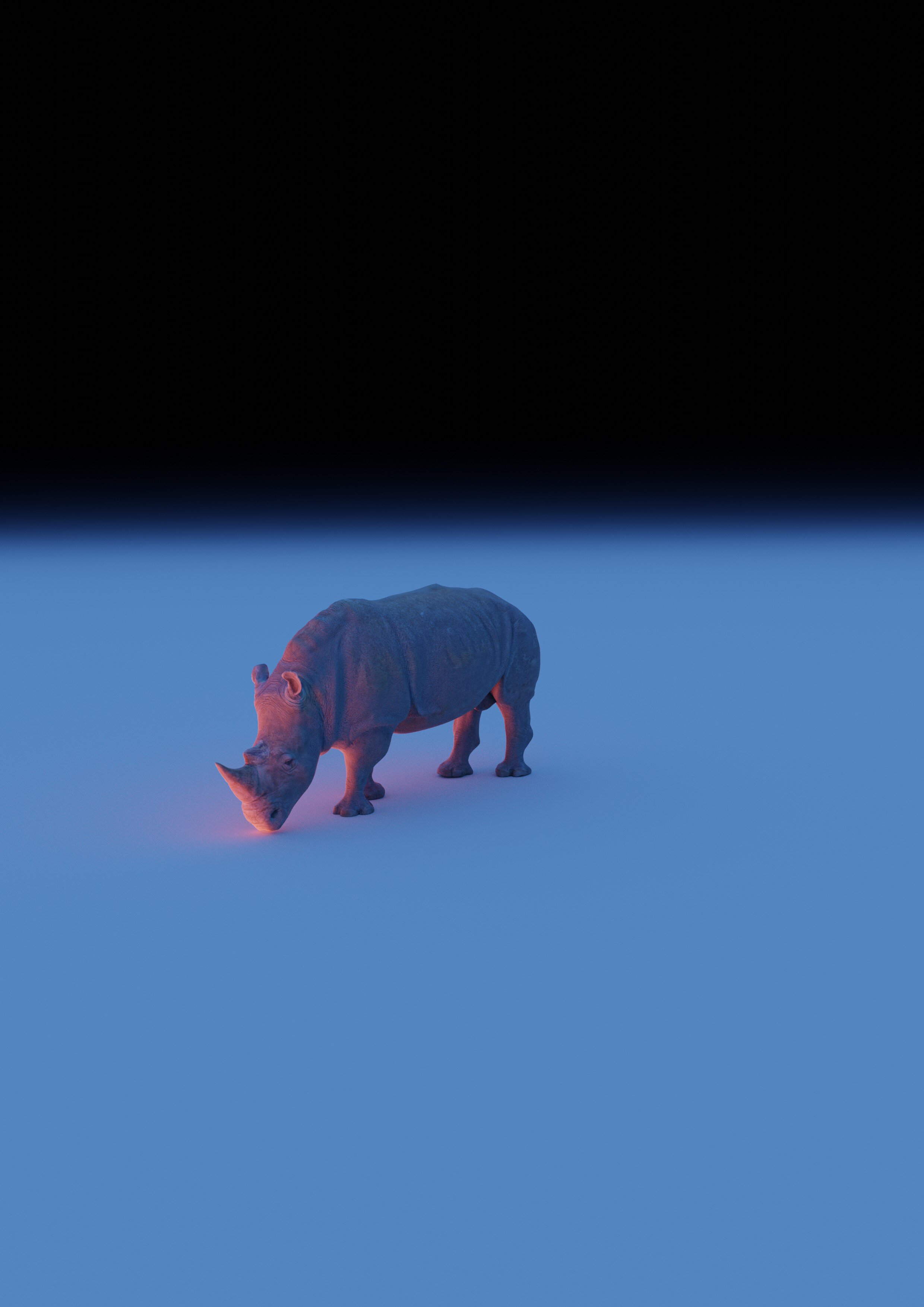 201126_Rhino.jpg