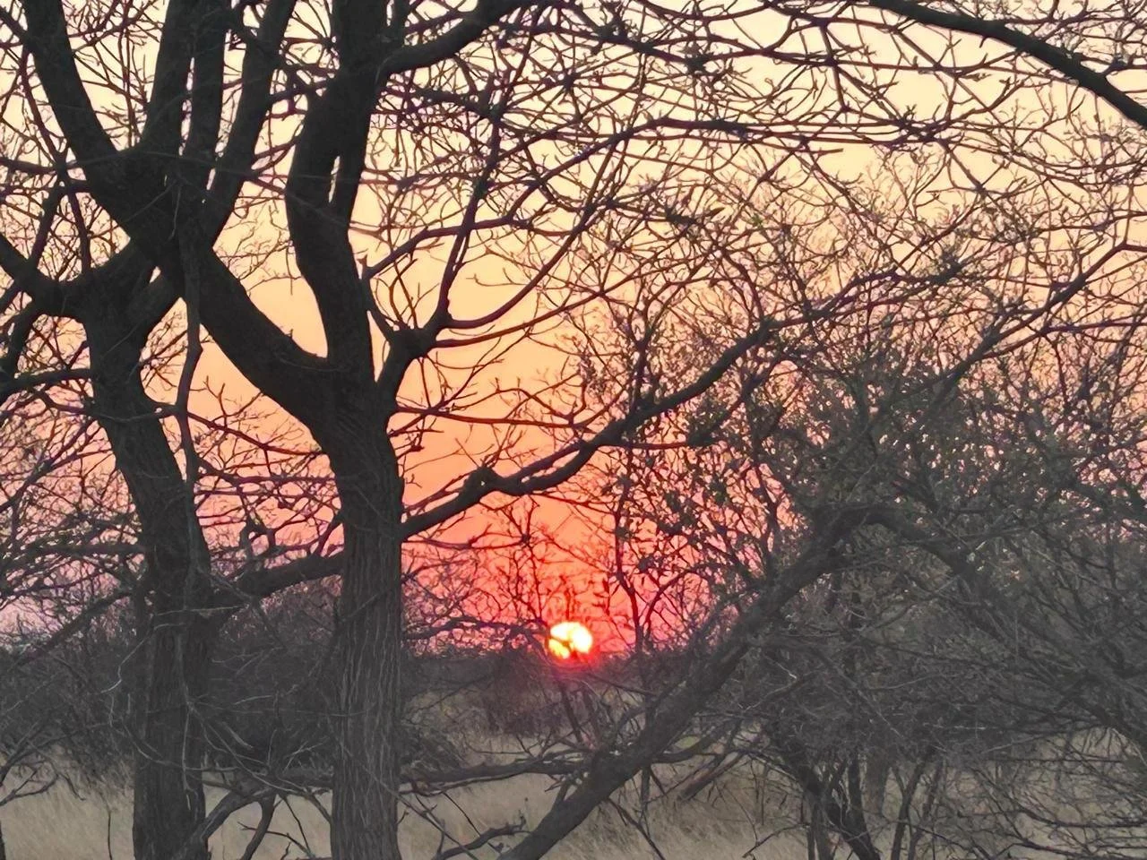 Look Up: What Are We Missing?