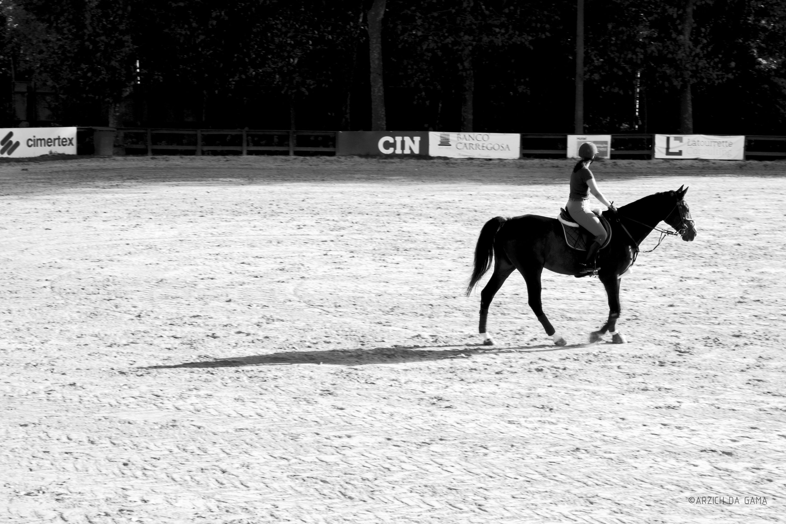 Copy of Copy of Copy of Copy of ArzichdaGama_Horses and Equine photography