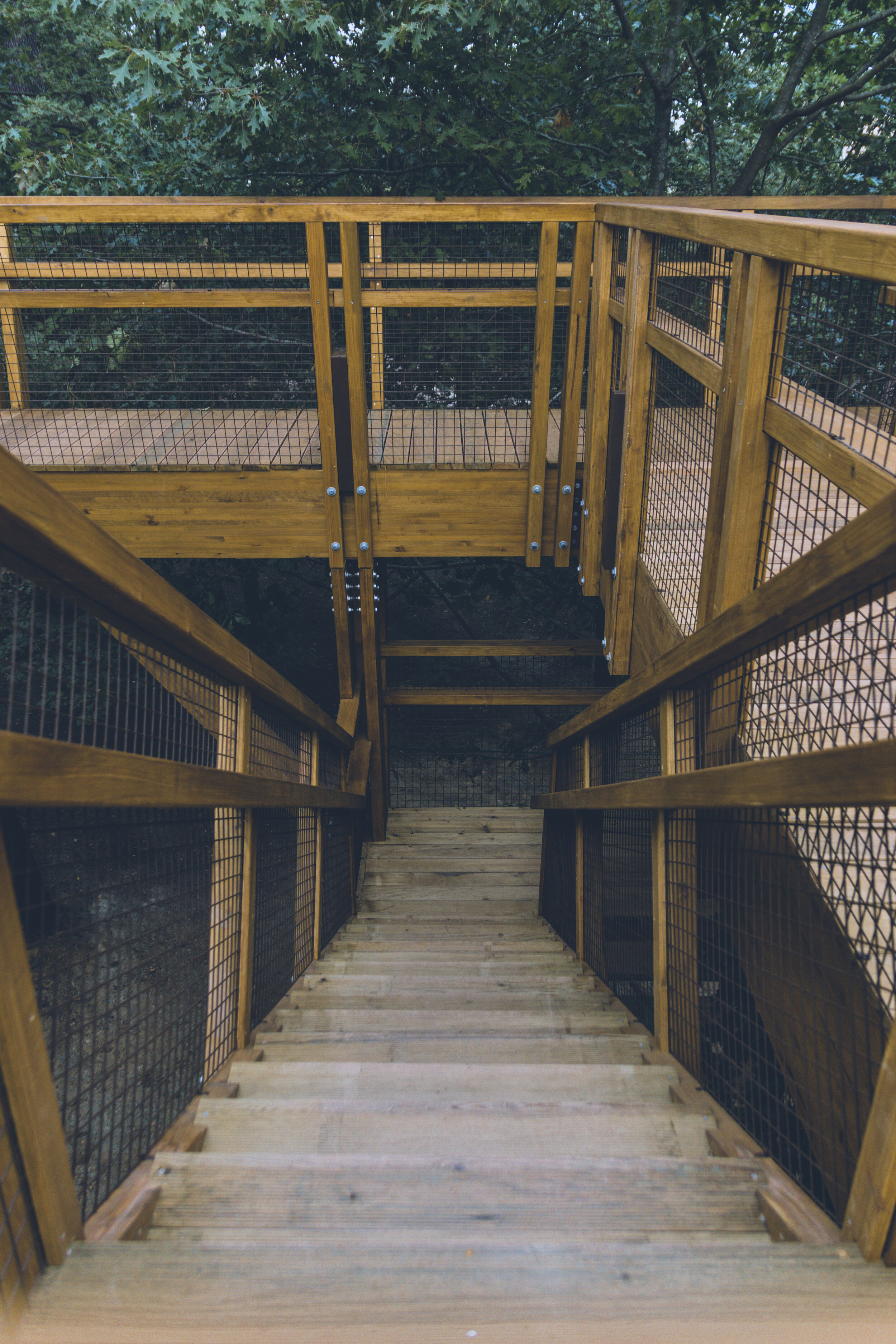 arzichdagamaphotography_serralves_treetop_passadiços_MG_5473 1.jpg