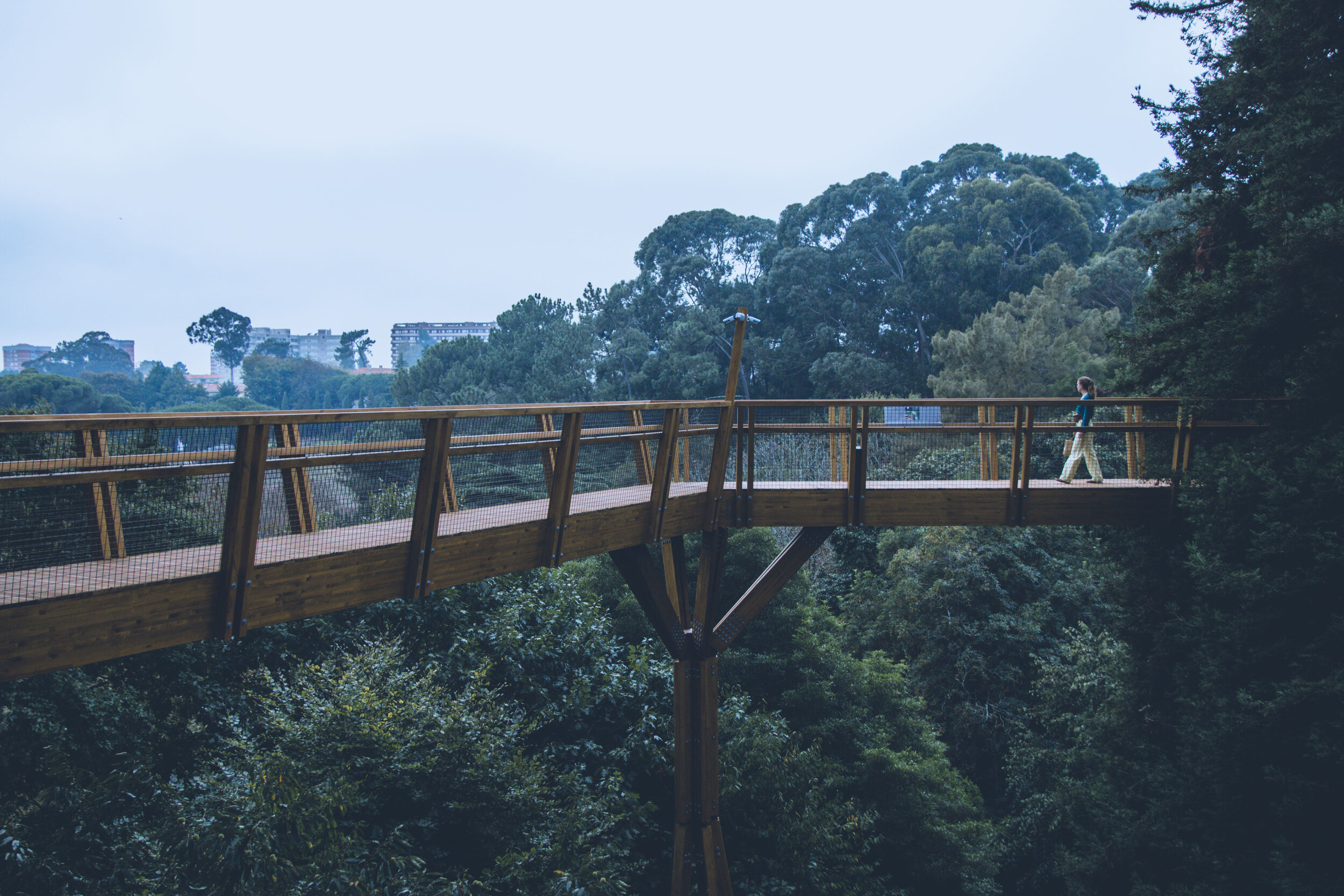 arzichdagamaphotography_serralves_treetop_passadiços_MG_5490 1.jpg