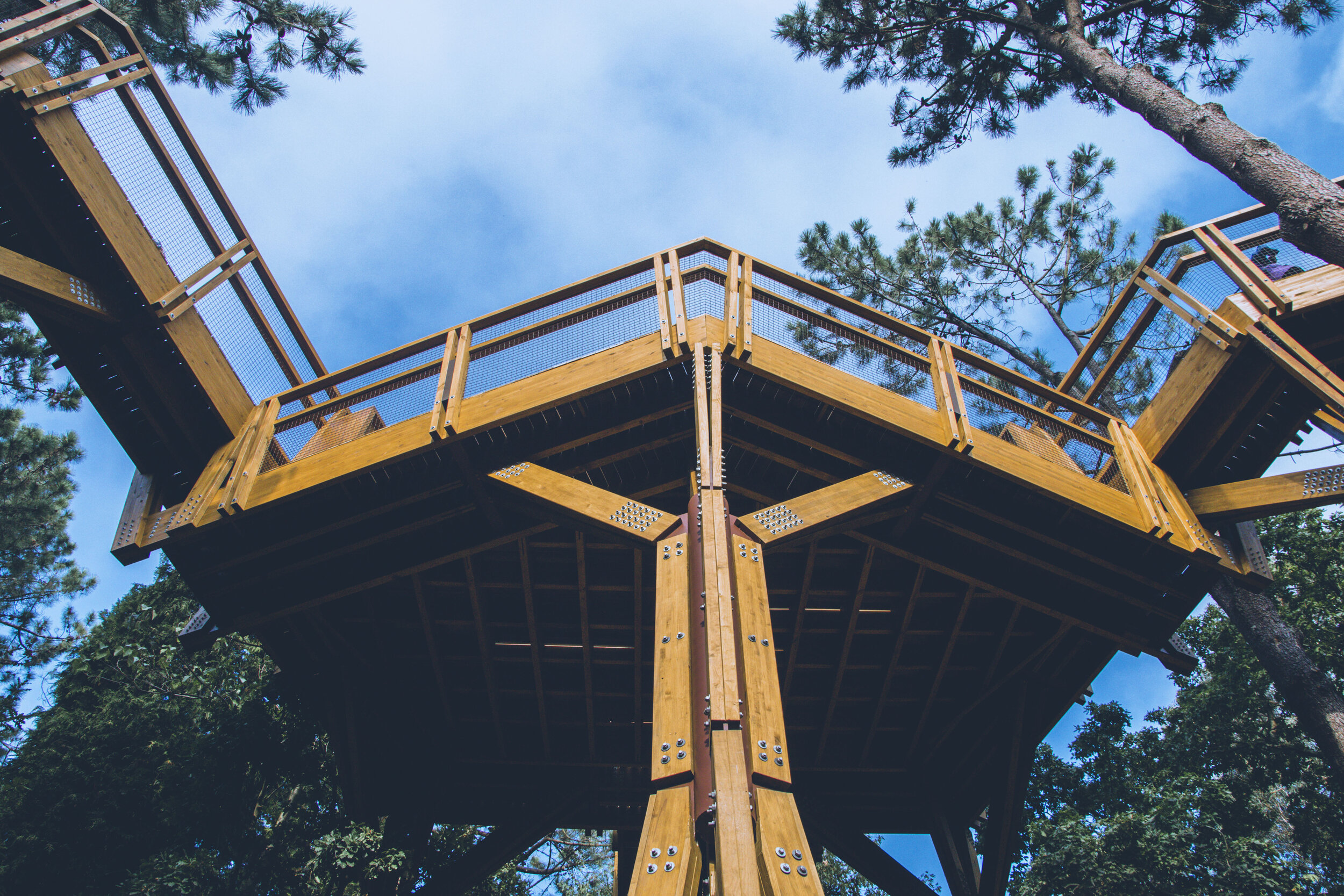 arzichdagamaphotography_serralves_treetop_passadiços_MG_5539 1.jpg