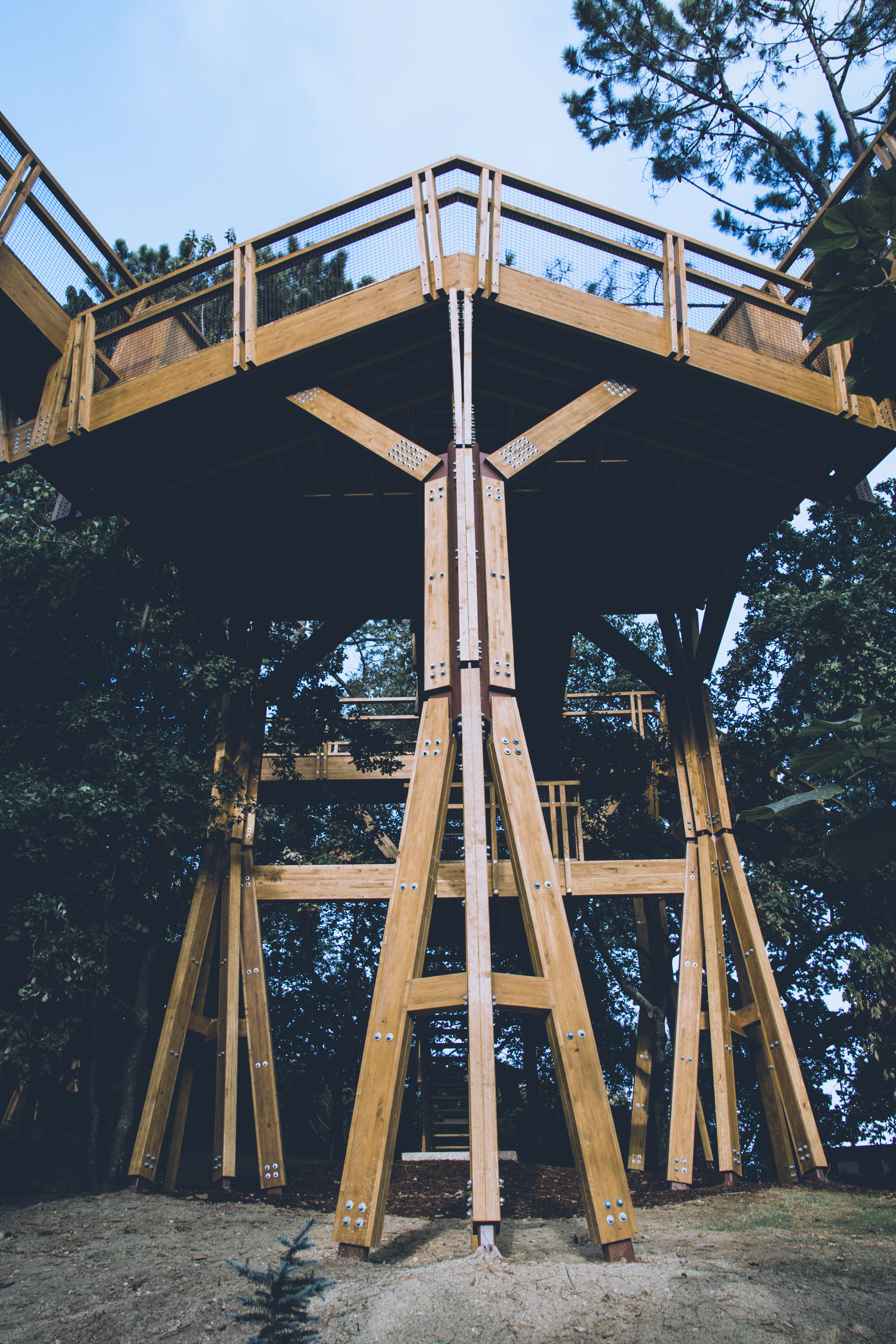 arzichdagamaphotography_serralves_treetop_passadiços_MG_5543 1.jpg