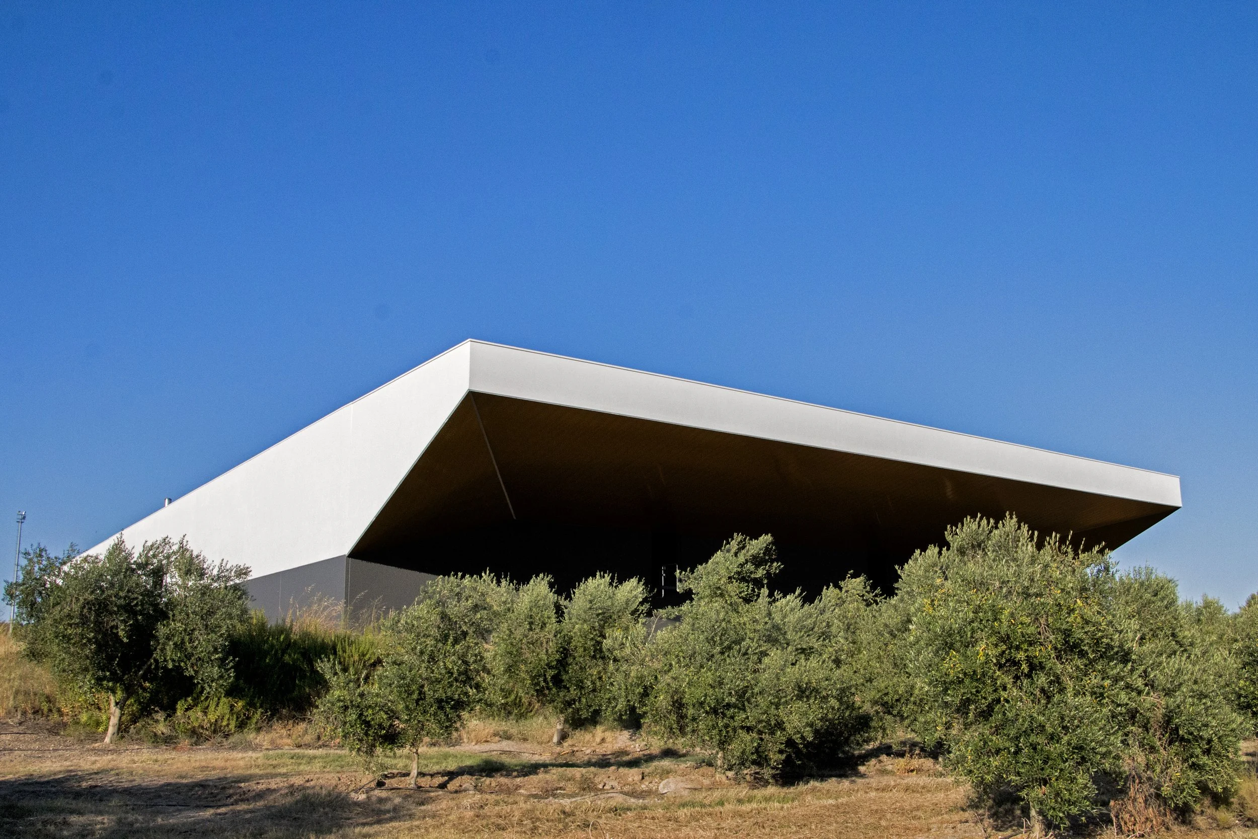 ArzichdaGama_Lagar Oliveira da Serra - Bak Gordon  (13).jpg