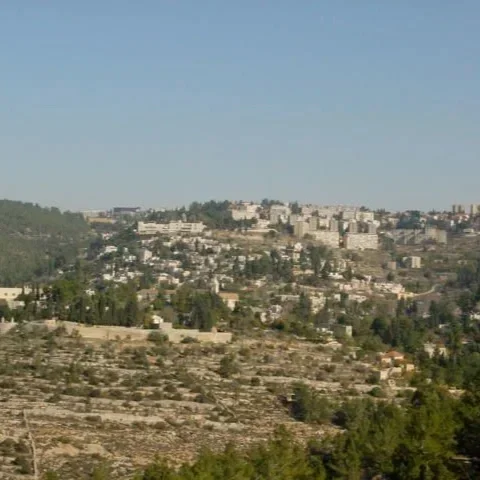 Voices in the Wilderness: A 2002 Reflection