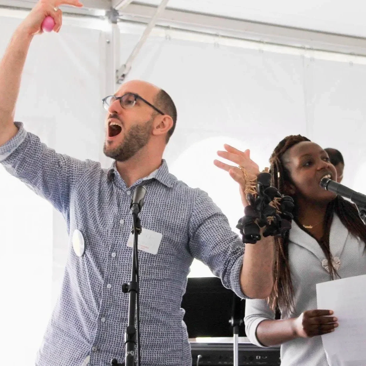 The Purpose of Song: More with Paul Vasile