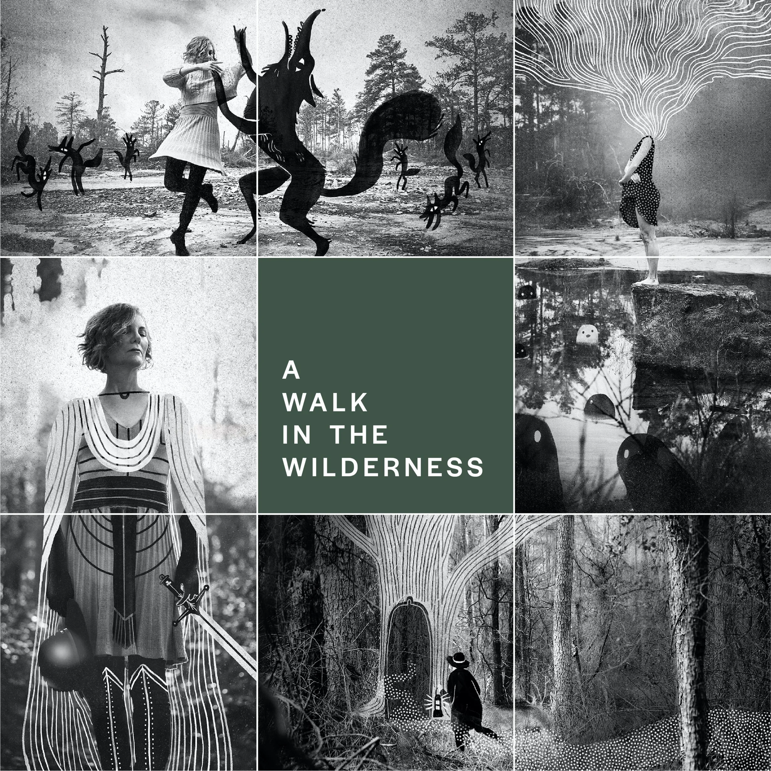 A Walk in the Wilderness