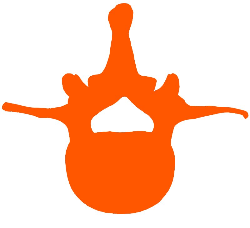 800wm.png