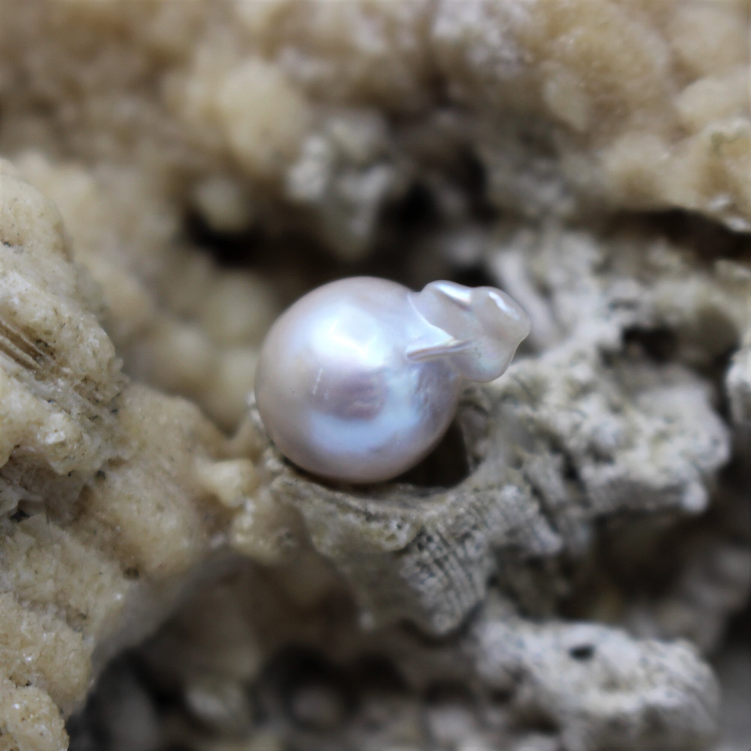Pearls (5).JPG