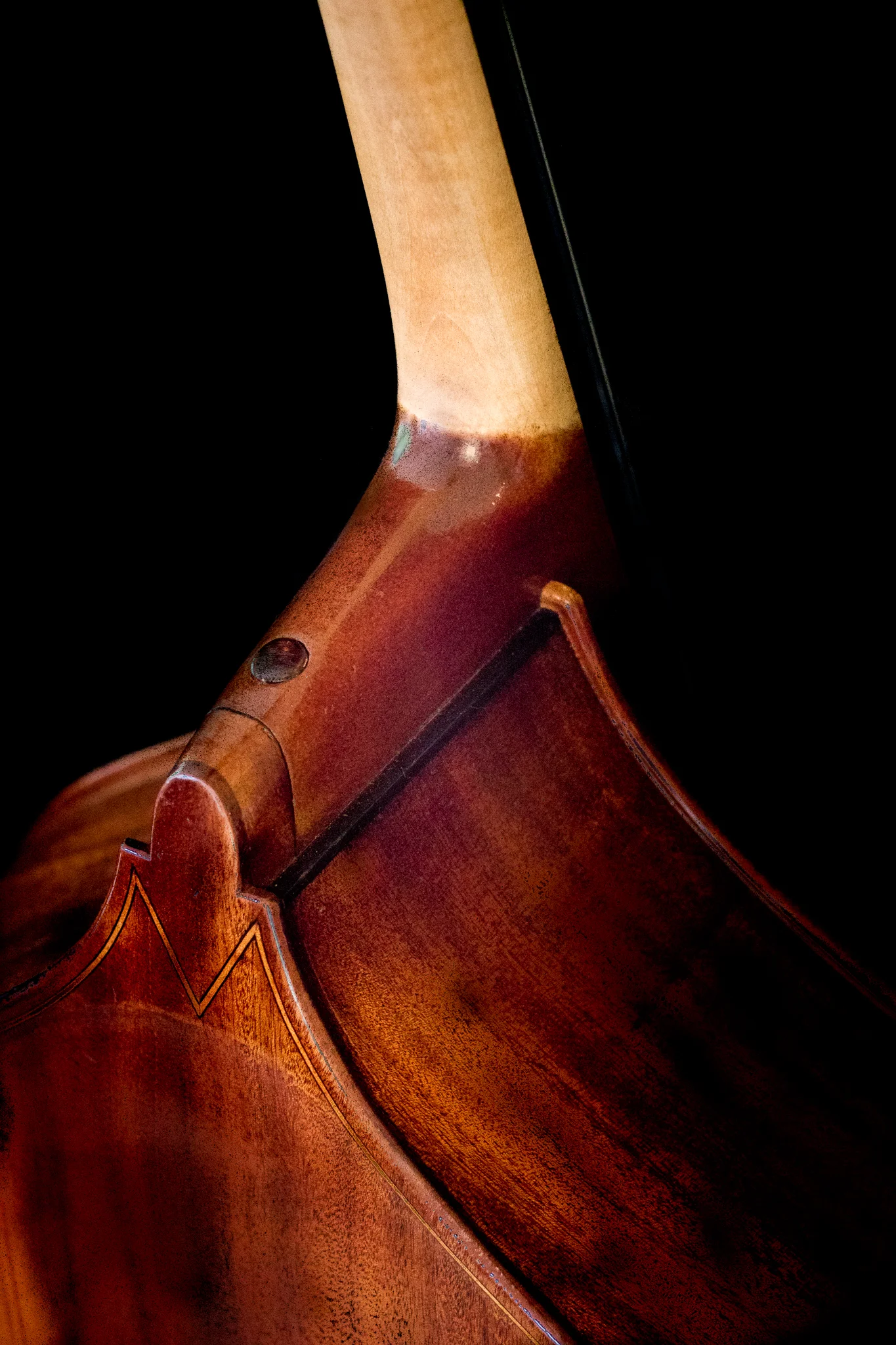 Bass (6 of 33).jpg