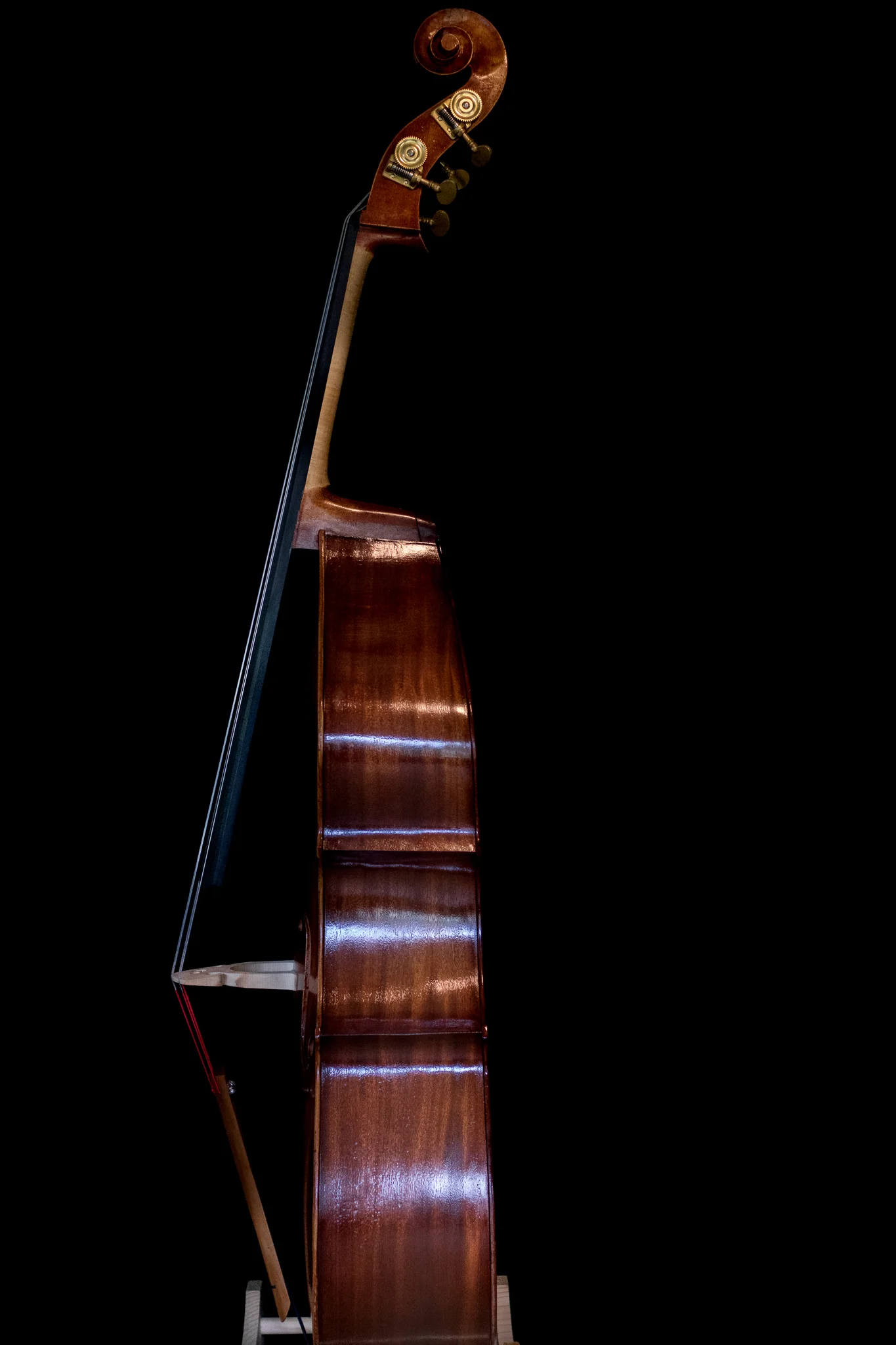 Bass (18 of 33).jpg