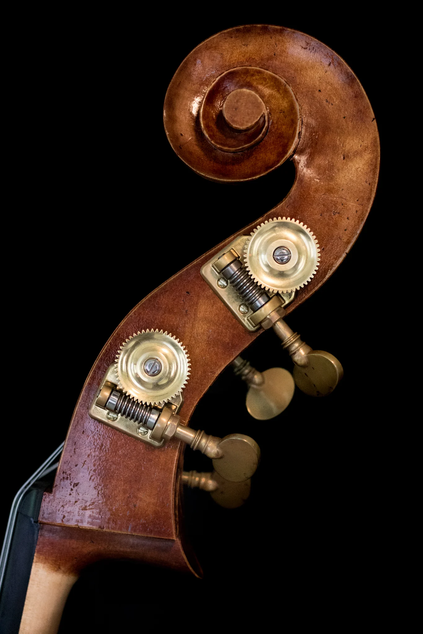 Bass (19 of 33).jpg