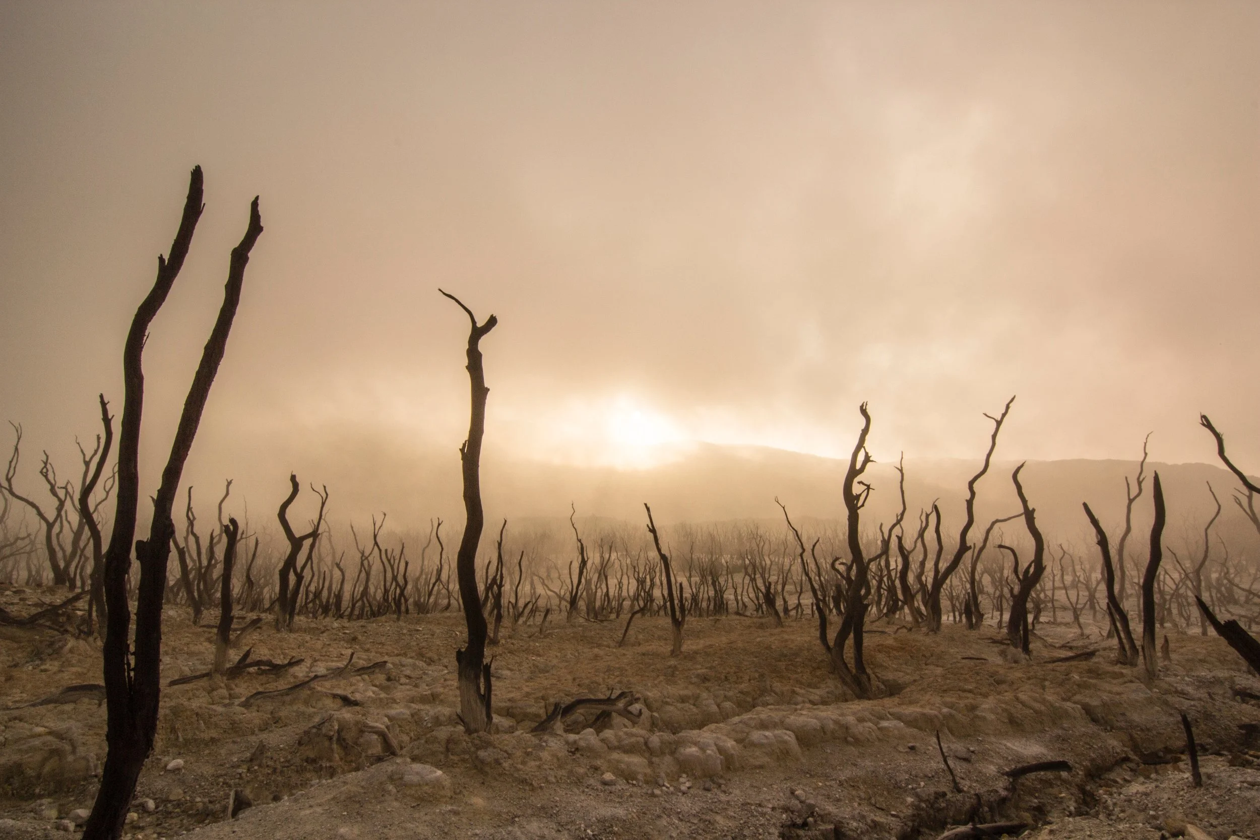 Desertification.jpg