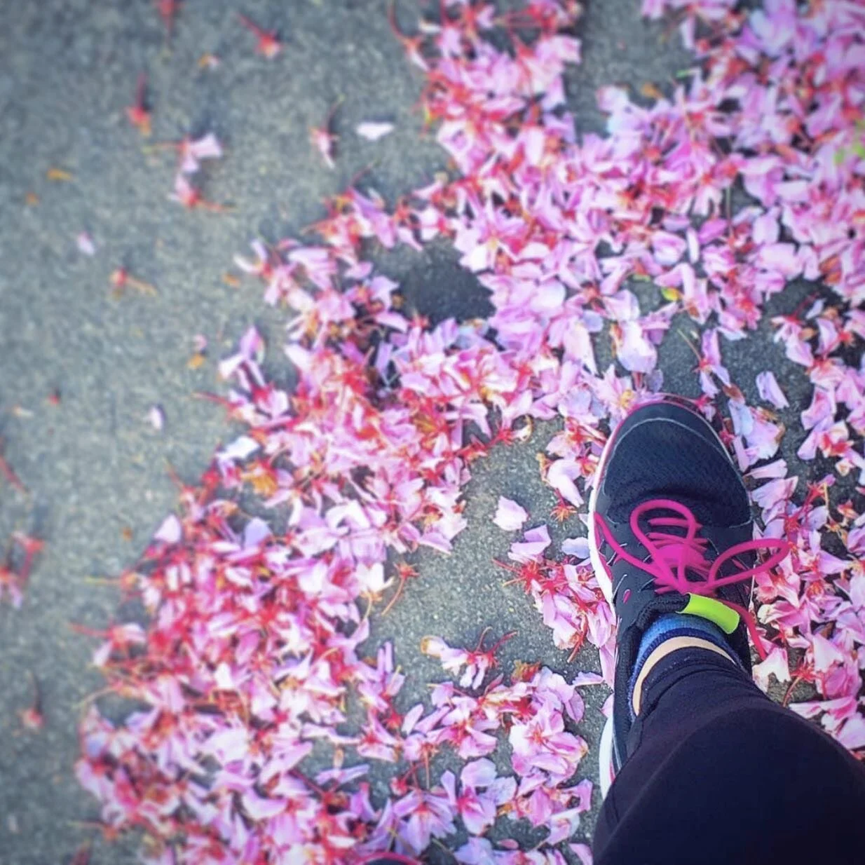 🌸🌸🌸 SPRING STEP🌸🌸🌸

If you needs kickstart but can&rsquo;t be 😶sed to get yourself outside moving, you can bring the outdoors in to you: 🌸cherry blossom🌸 (or you can research other fresh tea leaves that would suit your goal) benefits include