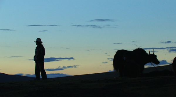 Summer Pasture Lynn True, Nelson Walker, Tsering Perlo | 2010 | Tibet/USA | Documentary | 85’ I Tibetan with English Subtitles The documentary film “Summer Pasture” provides an intimate insight into the hard life of a young nomadic family by accompanying them throughout a summer. Locho and Yama live with their toddler as Yak Keepers, just as their ancestors have done for generations. In Chinese, the region is referred to as “the five highest” – representing the highest, coldest, poorest, largest and most remote area in Sichuan Province. In recent years, however, nomadic life has become increasingly difficult and many nomads are settling in cities. Soon Locho and Yama will have to decide whether to raise their daughter in the pastures or send her to school. A decision that will have a profound impact on their future lives. “Summer Pasture” is a production by Kham Film Project, an association of filmmakers.