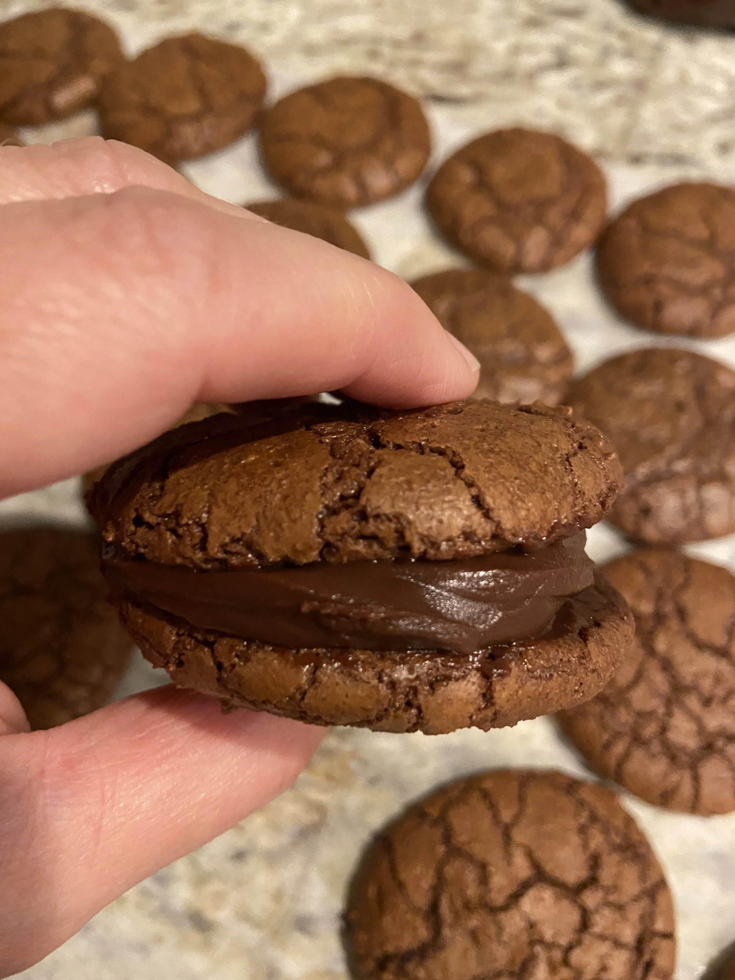 FUDGE BROWNIE COOKIE CLASS- March 22nd