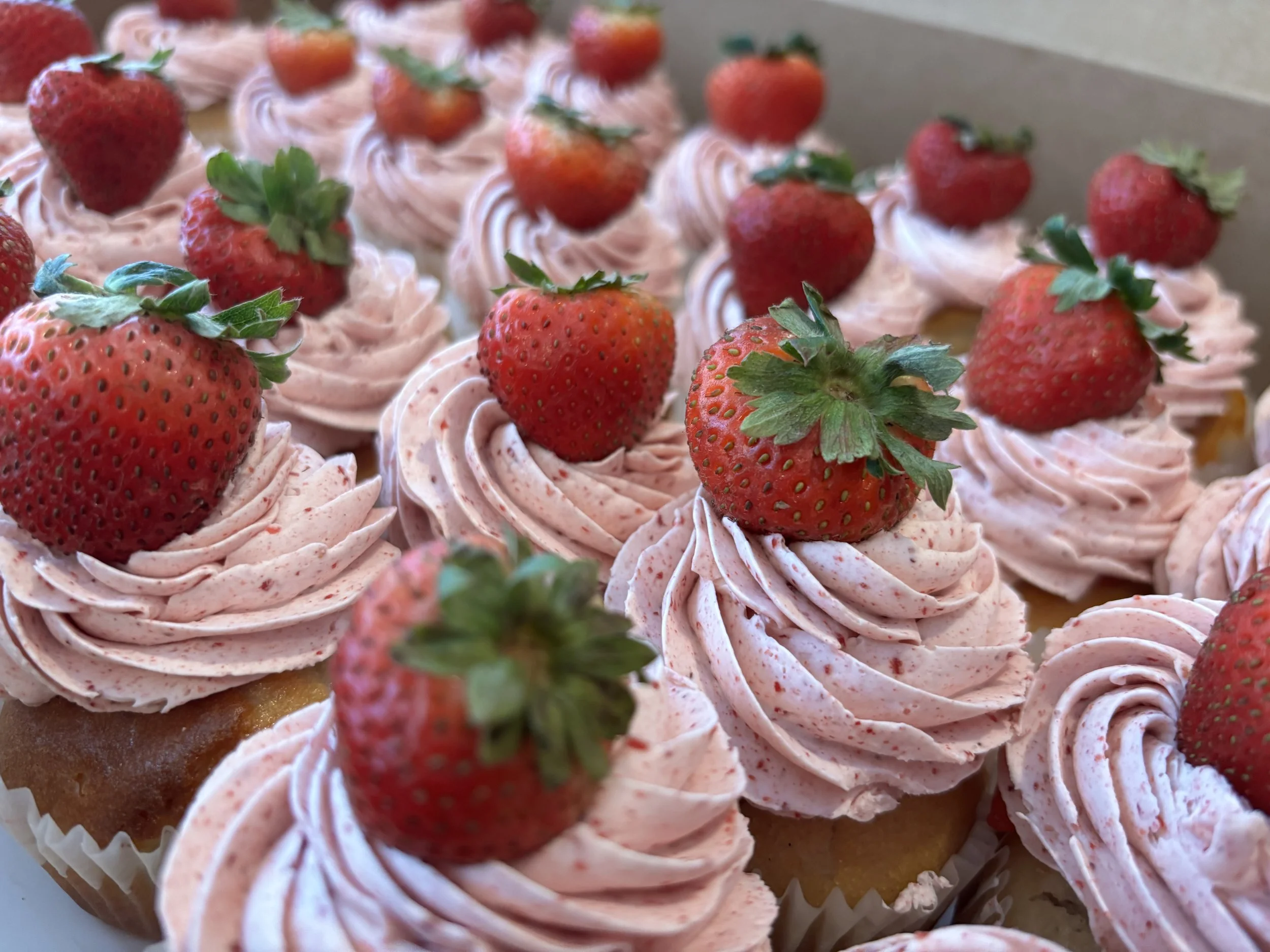 STRAWBERRY CHAMPAGNE CUPCAKES- February 12th (Evening)