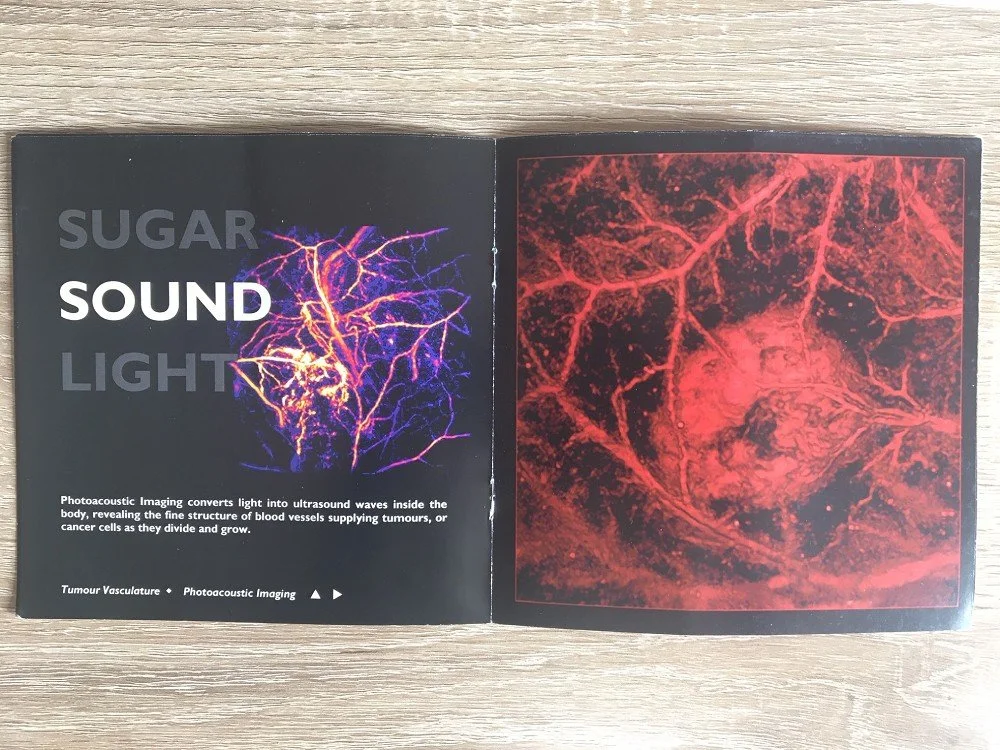 Biomedical Imaging Techniques