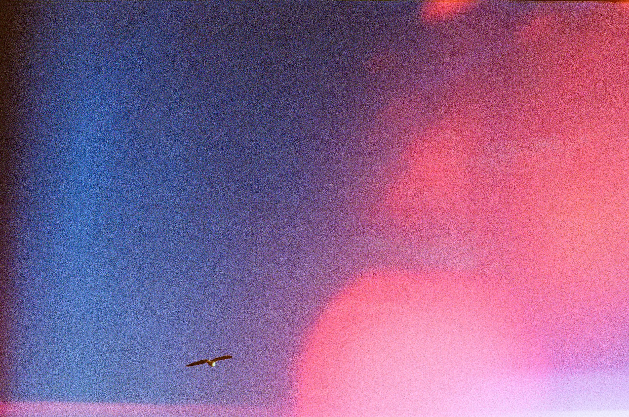 A Certain Distance cover-5.jpg