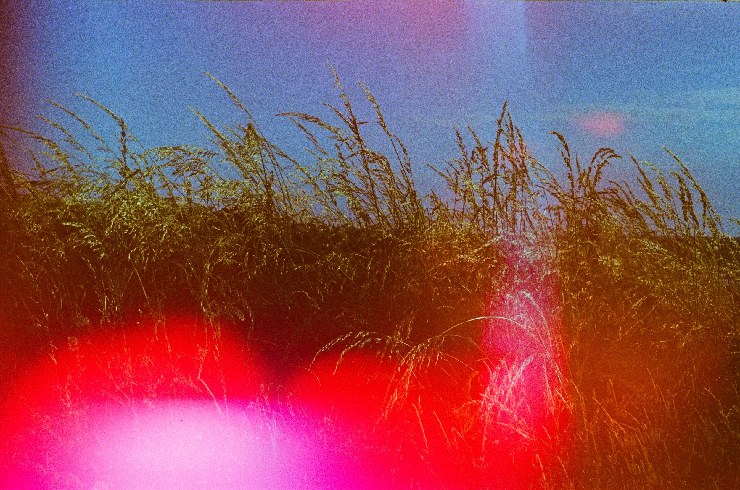 A Certain Distance cover.jpg