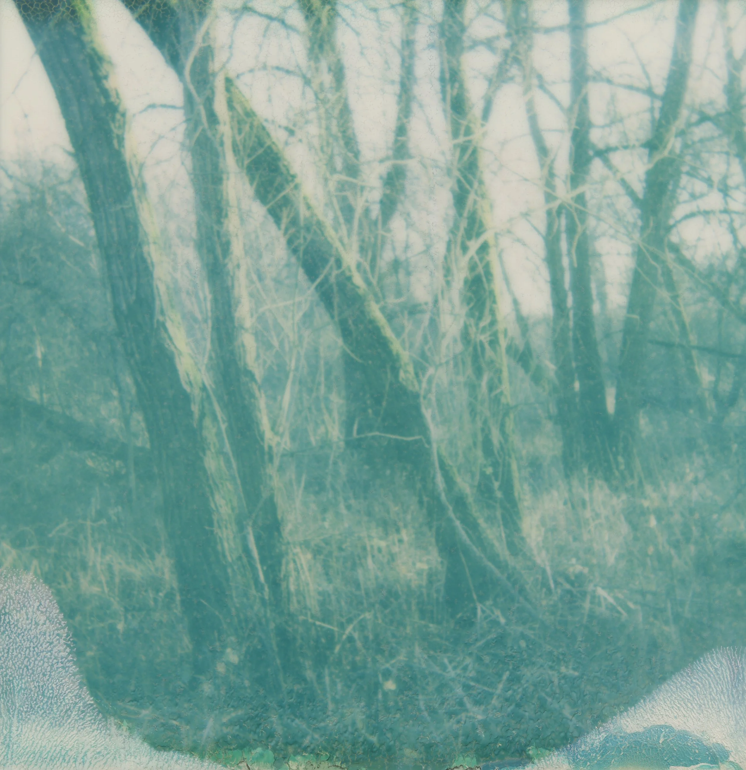 Kathryn in colour.jpeg