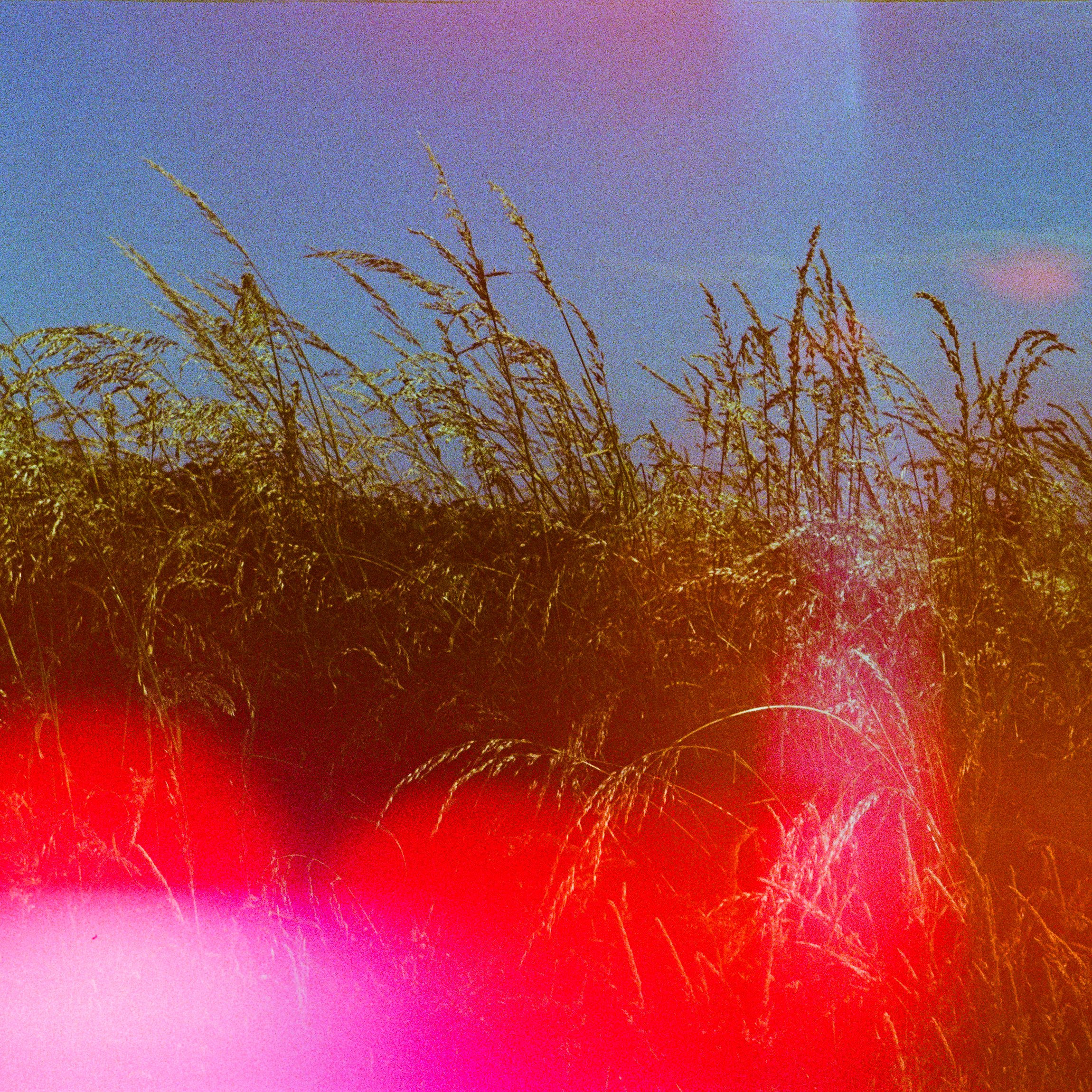 Acdcover.jpg