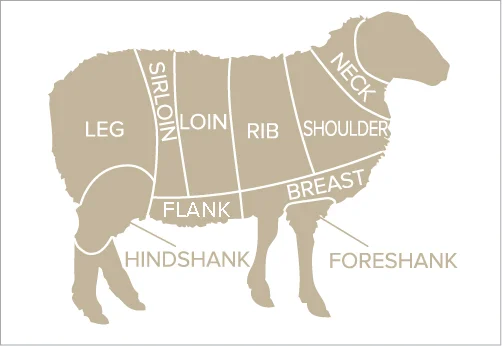 LambSharenew.jpg