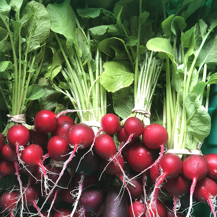 RADISHES