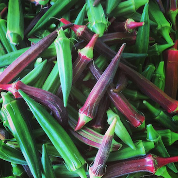 OKRA