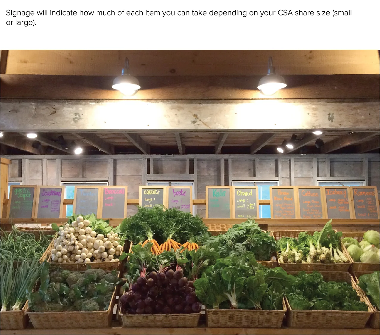 CSA12.jpg