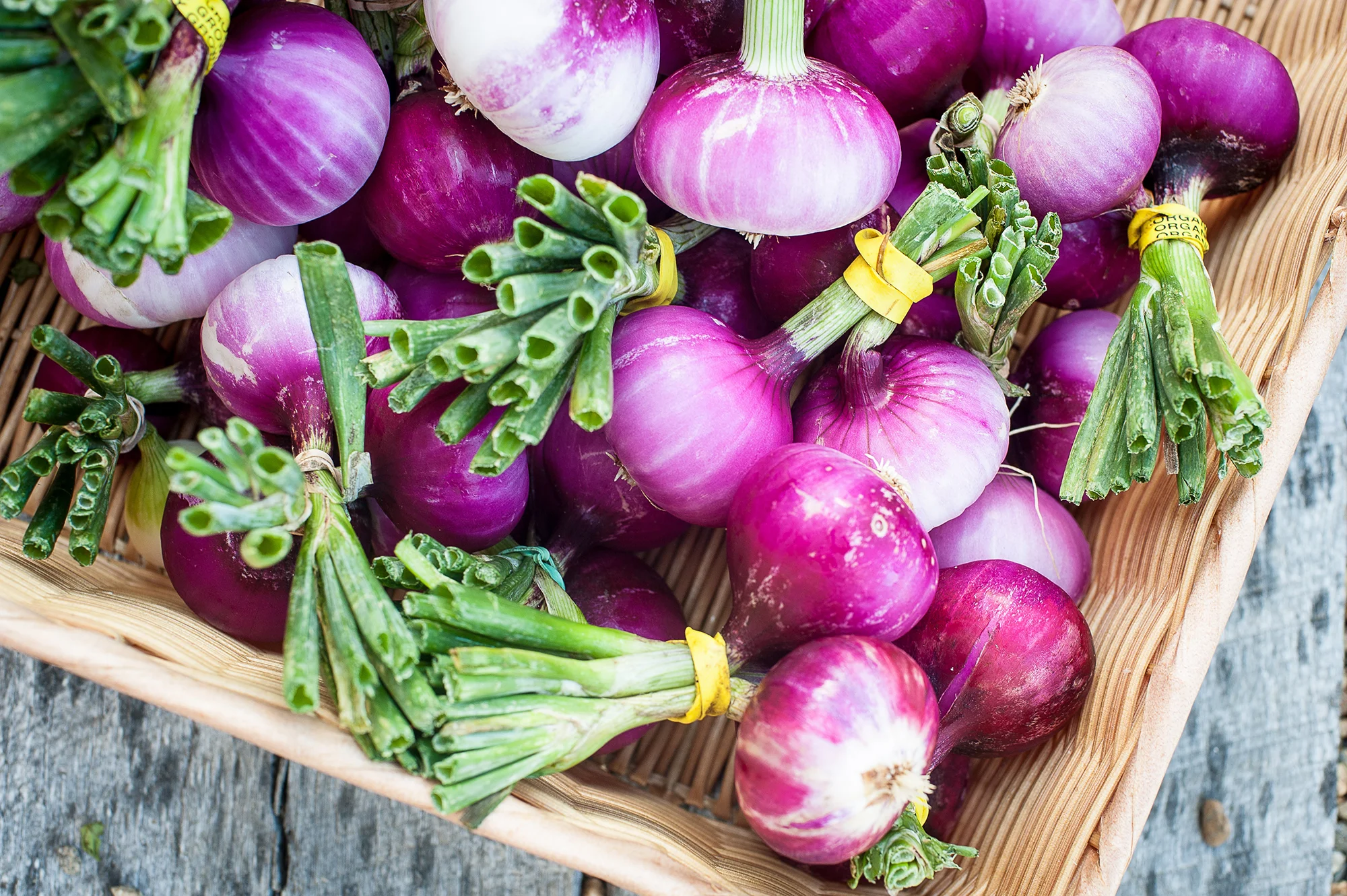 purpleonions2000.jpg
