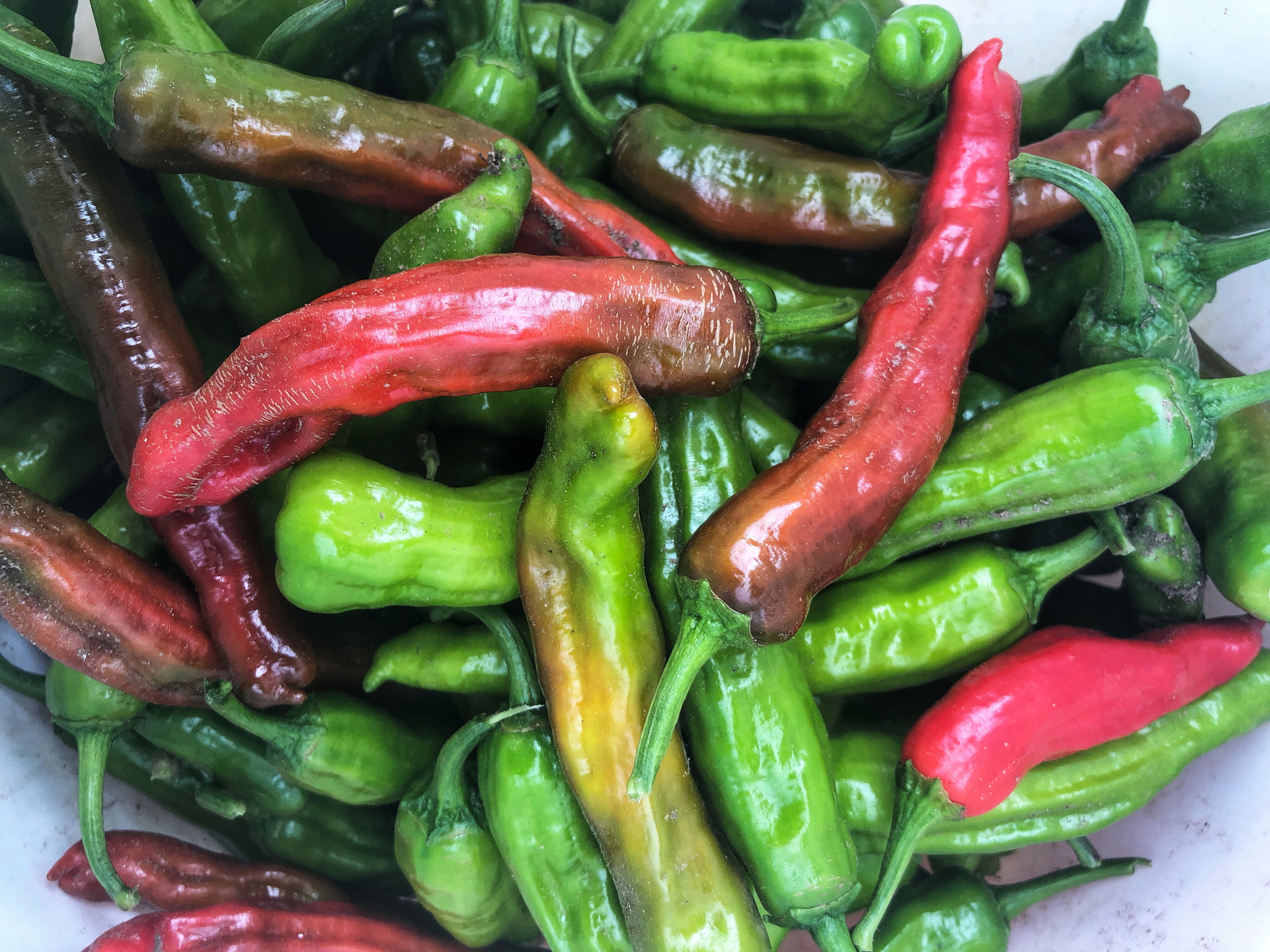 IMG_3622peppers2000.jpg