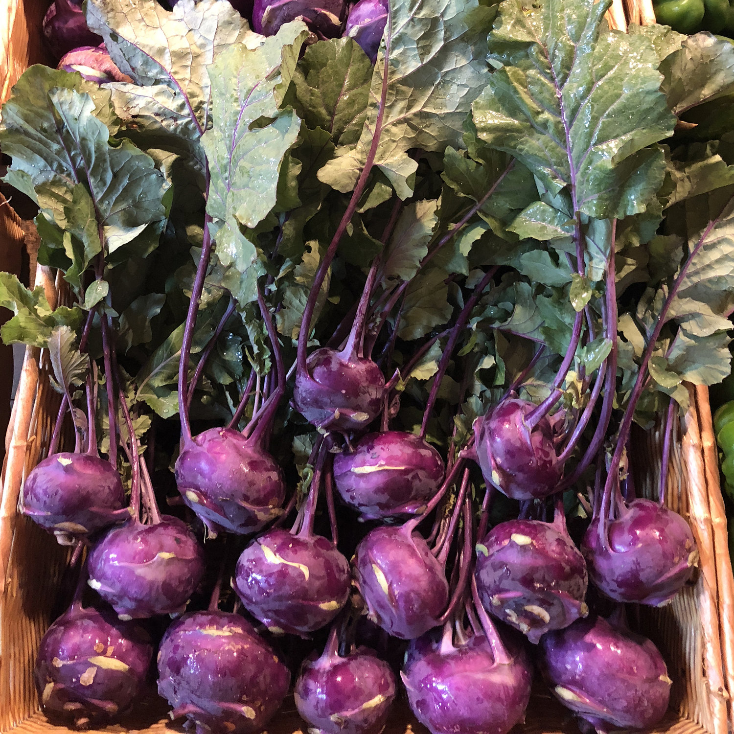 Produce - Purple Kohlrabi — Clark Farm