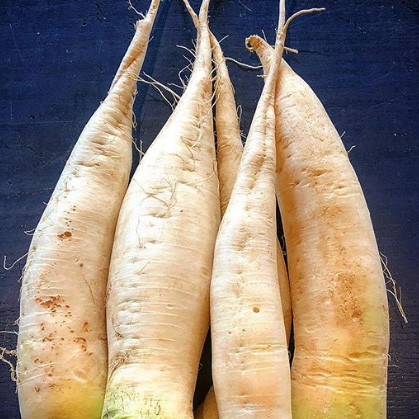 DAIKON