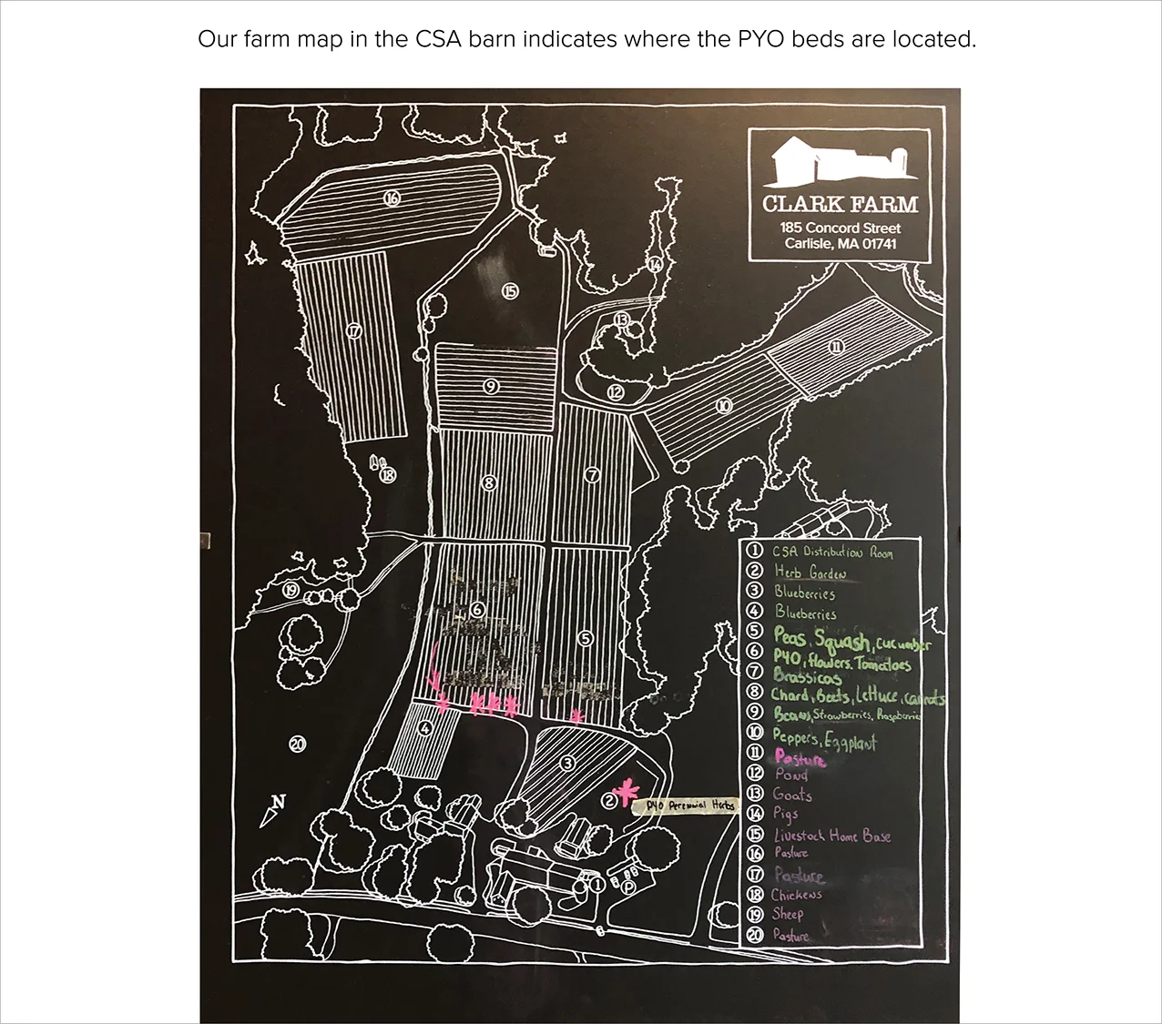 CSAtourBoards3Fix-03.jpg