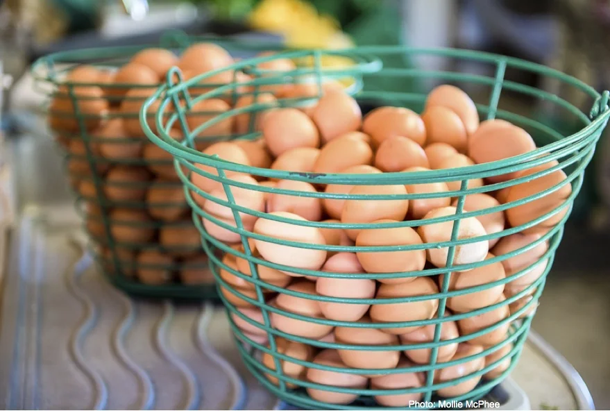 egg+share+image+with+credit.jpg