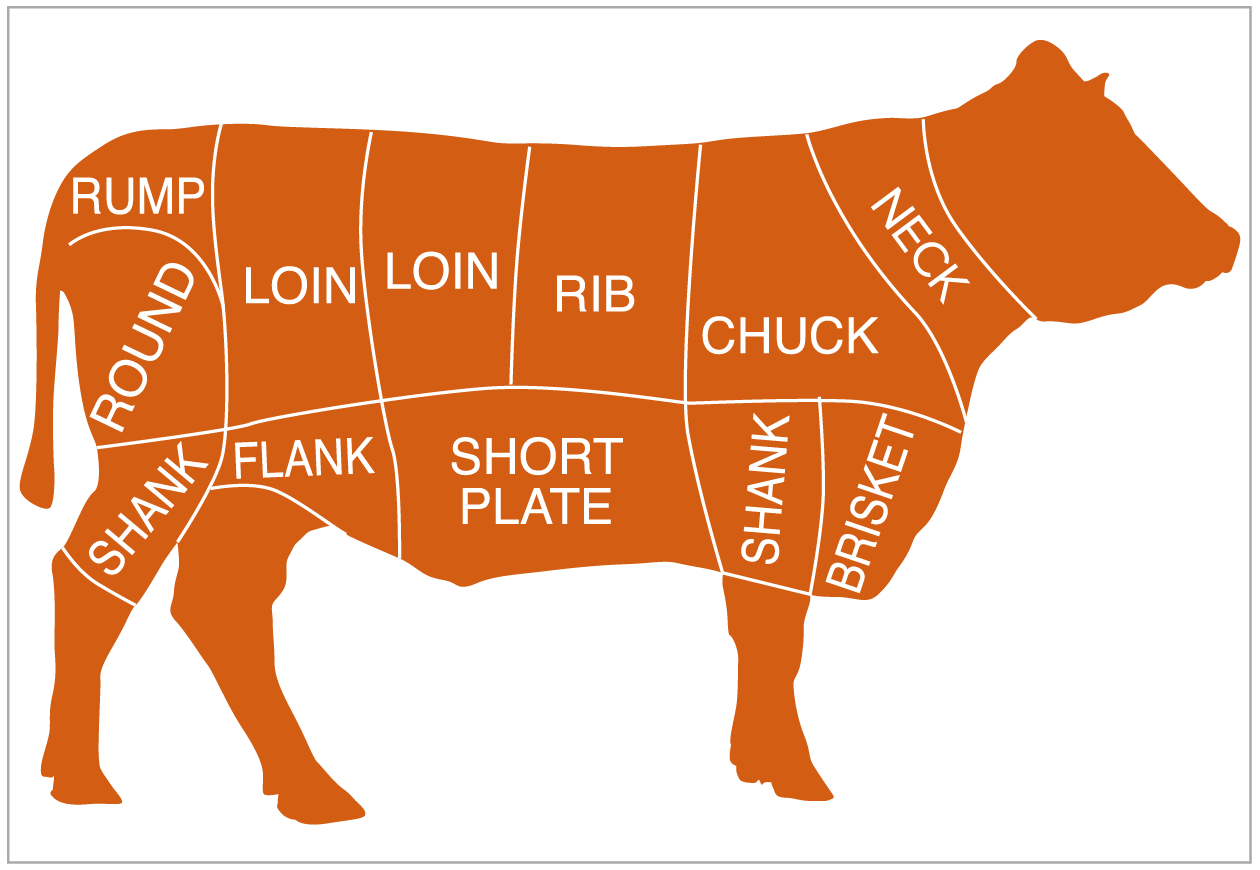 090919CFBEEFcutslabeledOL.png