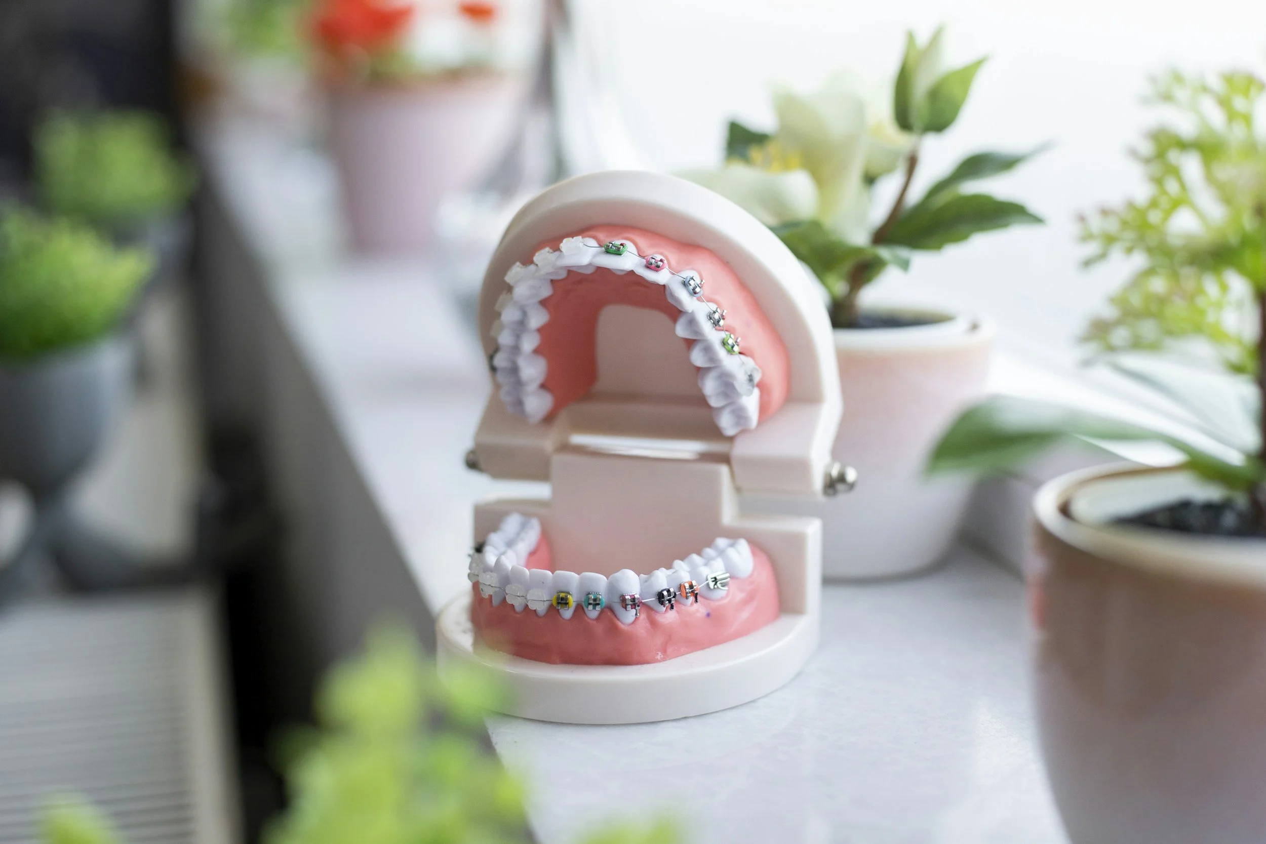 How to Find the Best Orthodontist: What to Look For