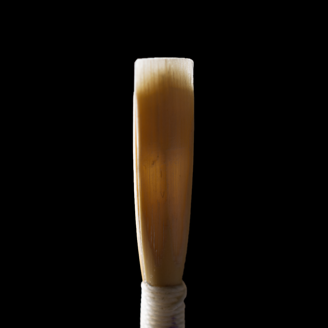 Professional Reed