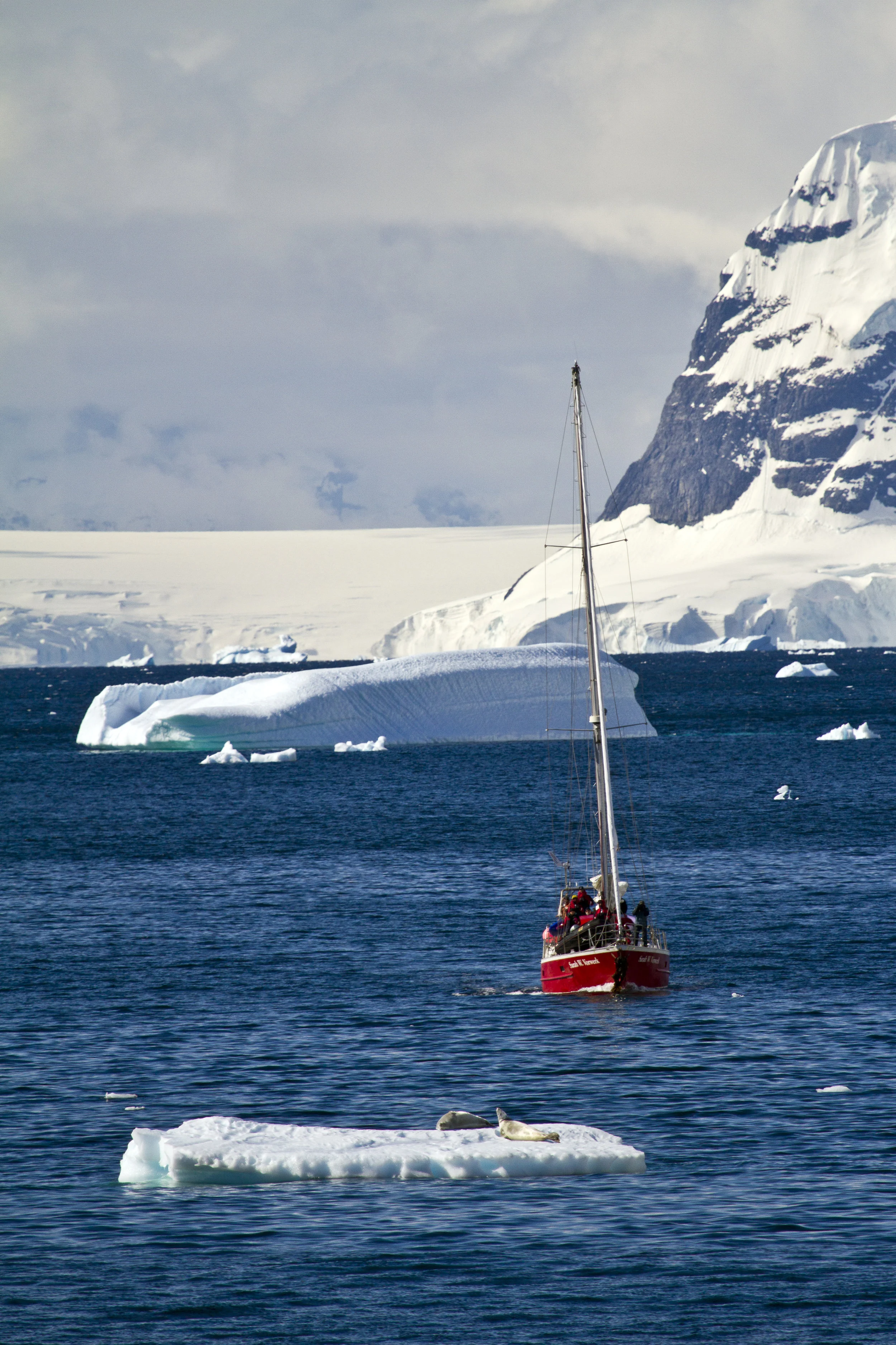 cold sailing large.jpg
