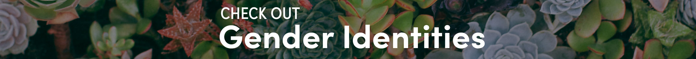 Text reading 'Check out Gender Identities' in front a large group of succulents