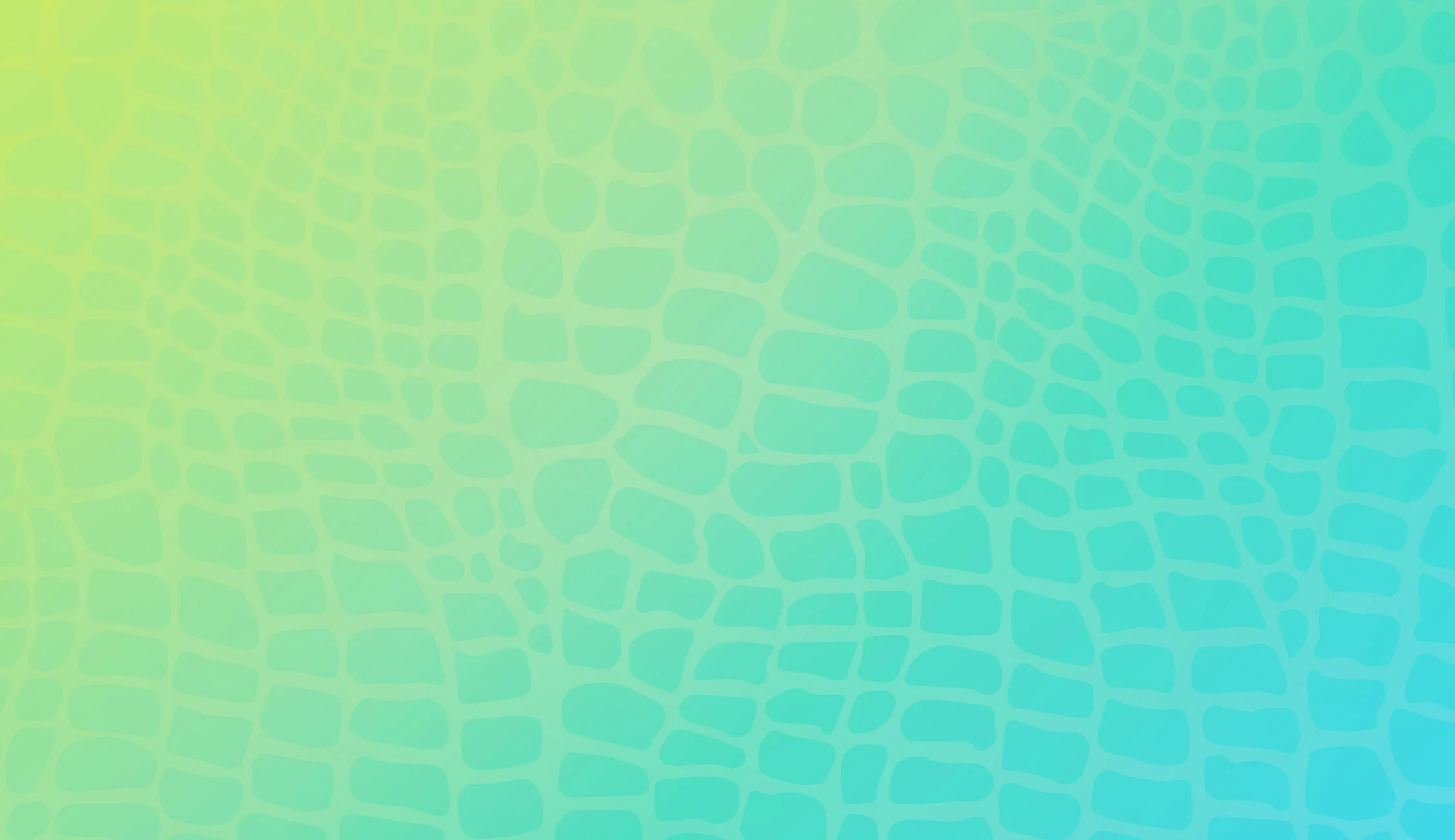 Page-Banner.jpg