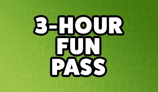 Group Buttons - 3 Hr Fun Pass.jpg