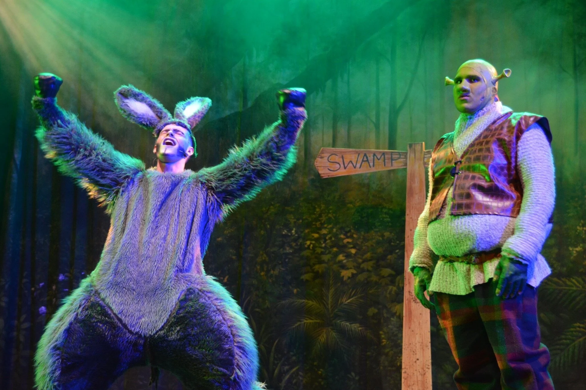 SHREK AT THE MALTINGS ELY - VIVA