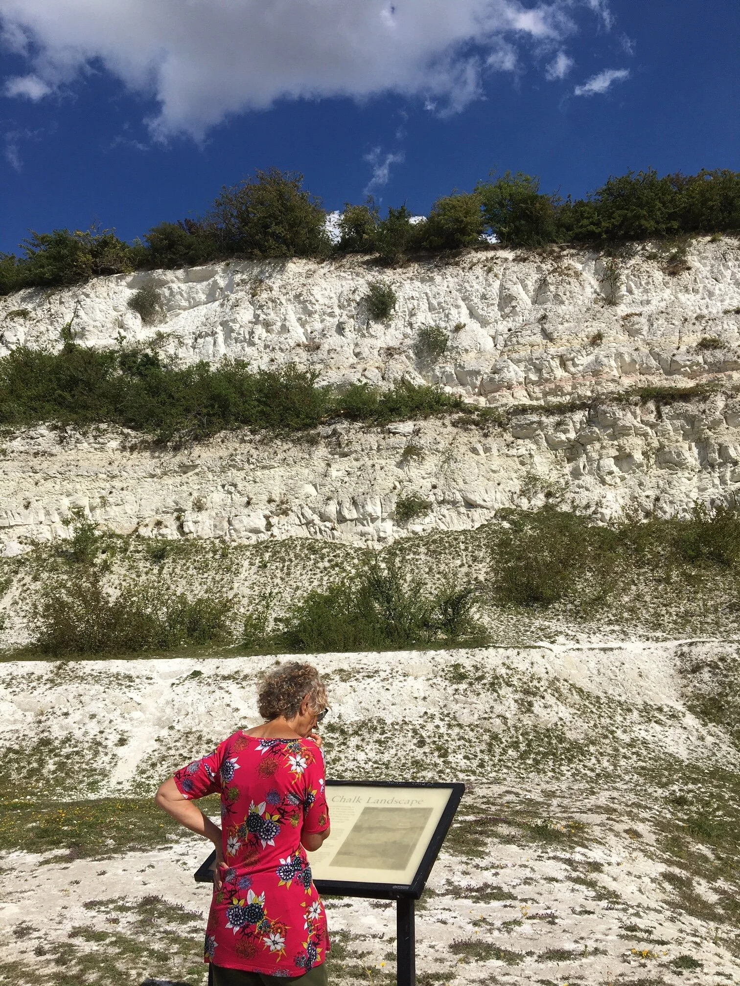 THE WHITE CLIFFS OF CAMBRIDGE