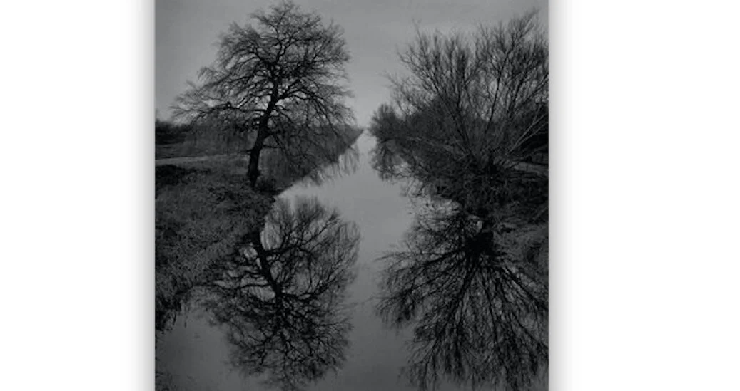PAUL  HART AT FEN DITTON GALLERY - EDGELANDS