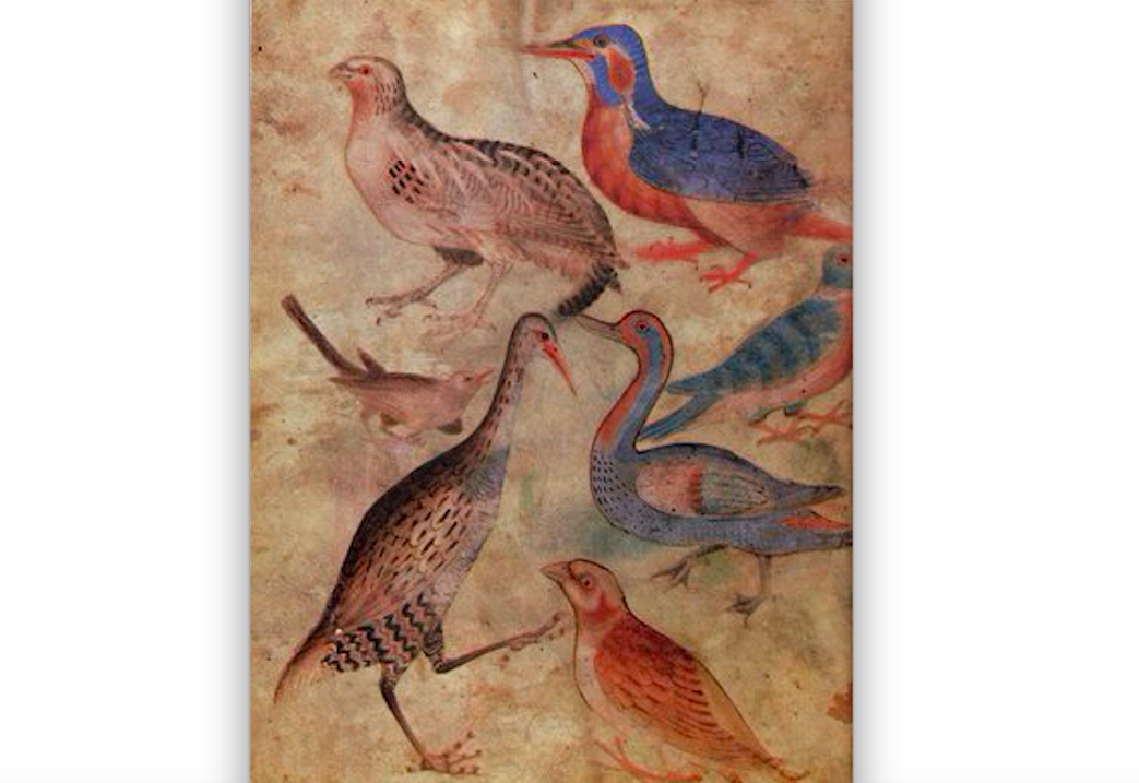 A LITTLE HISTORY OF POETRY BY JOHN CAREY